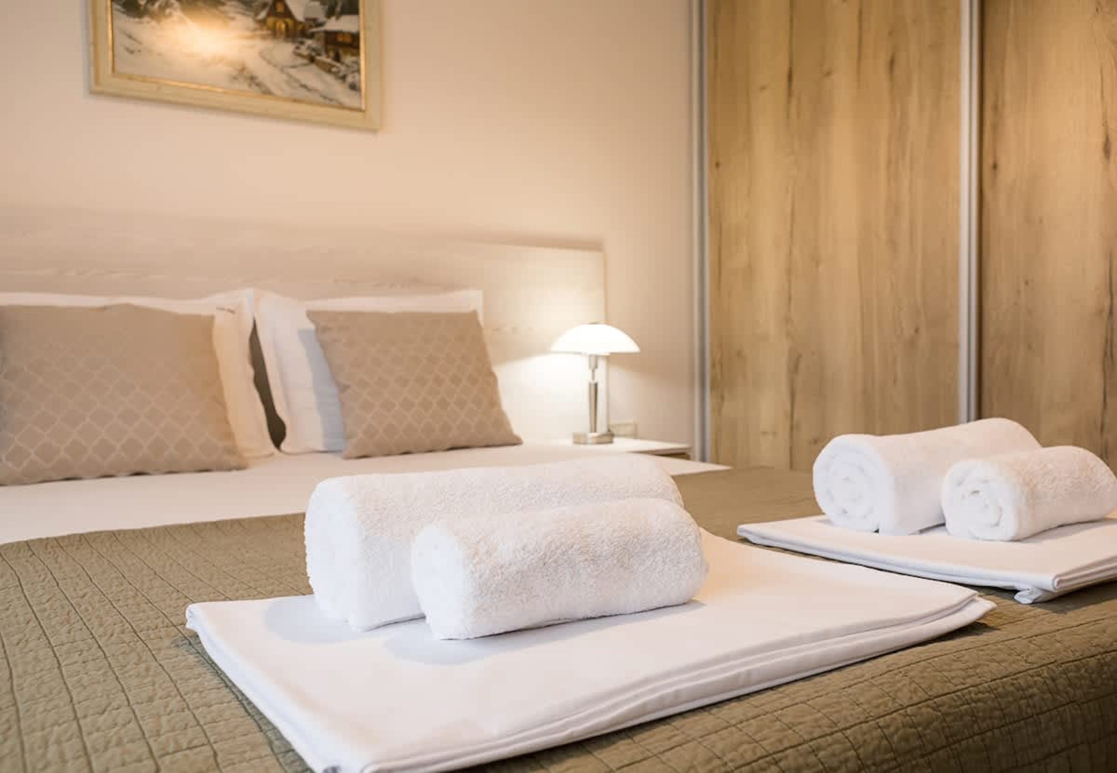 Scoutaround White Logo