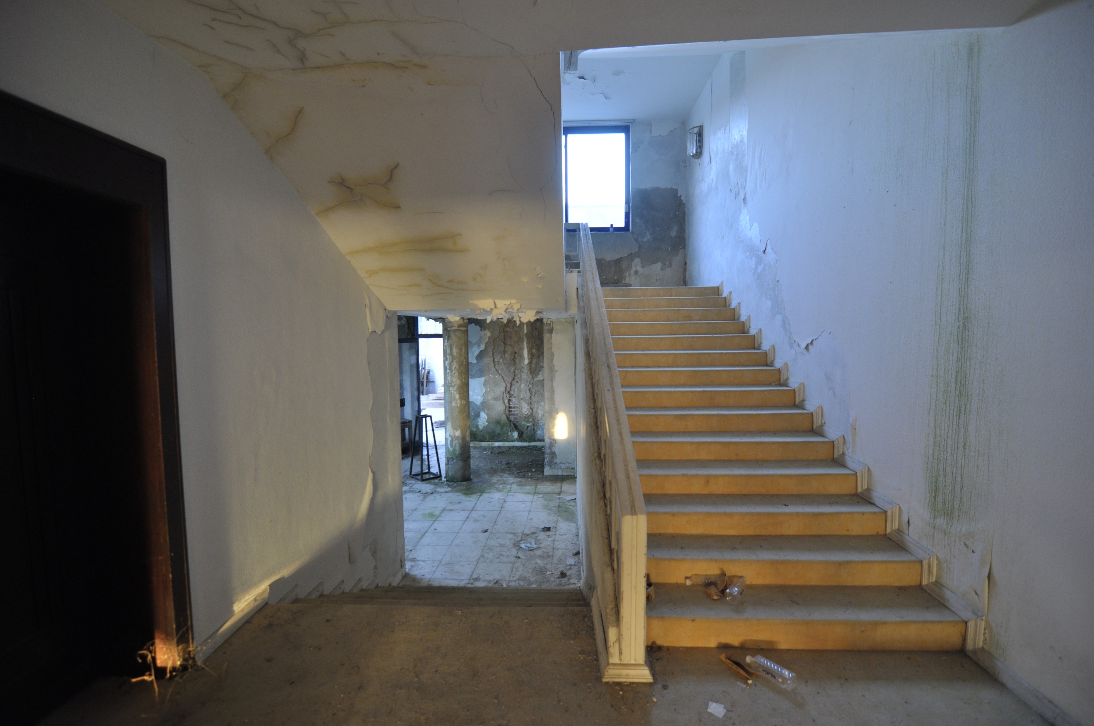 Scoutaround White Logo