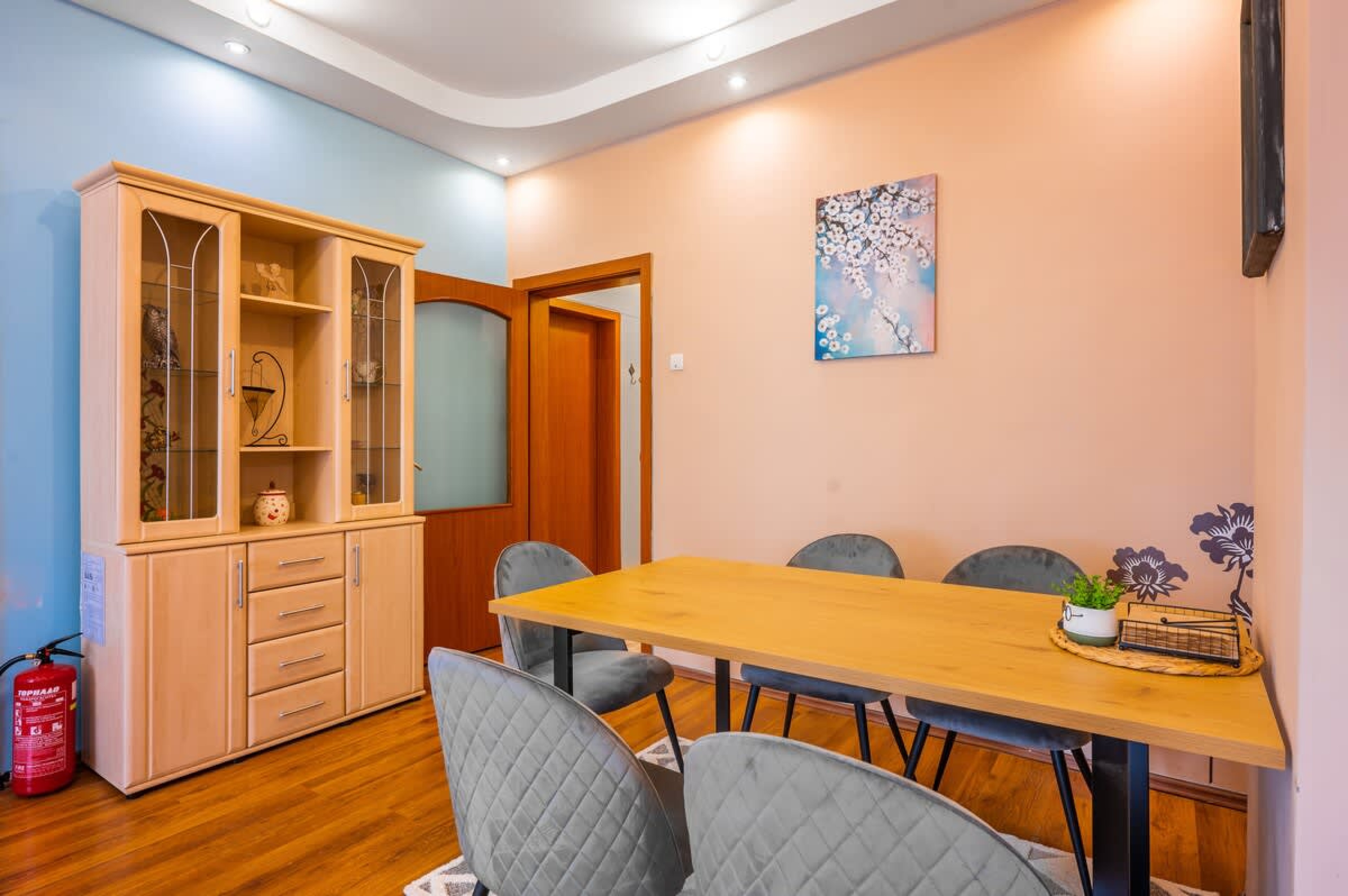 Scoutaround White Logo