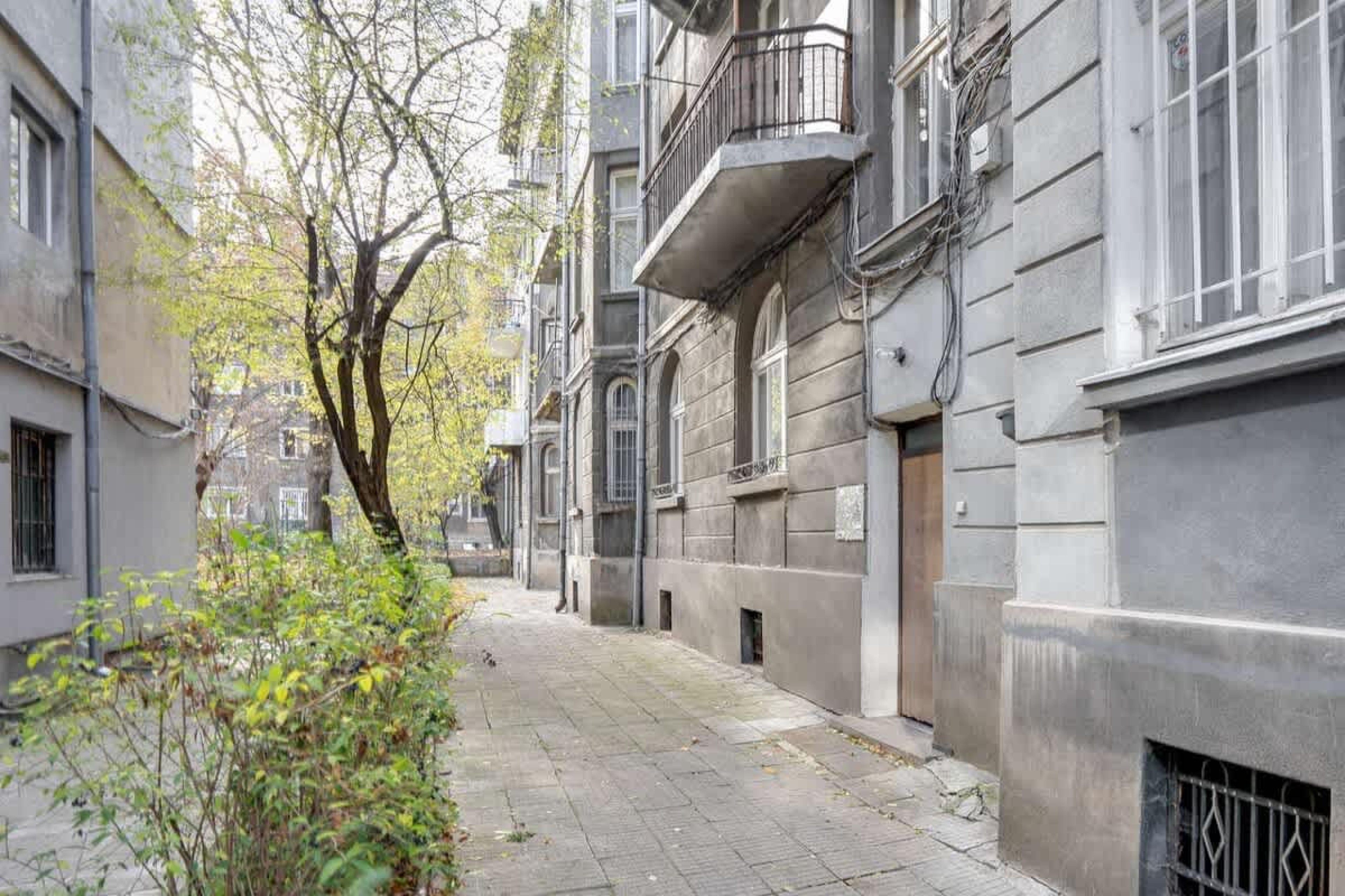 Scoutaround White Logo