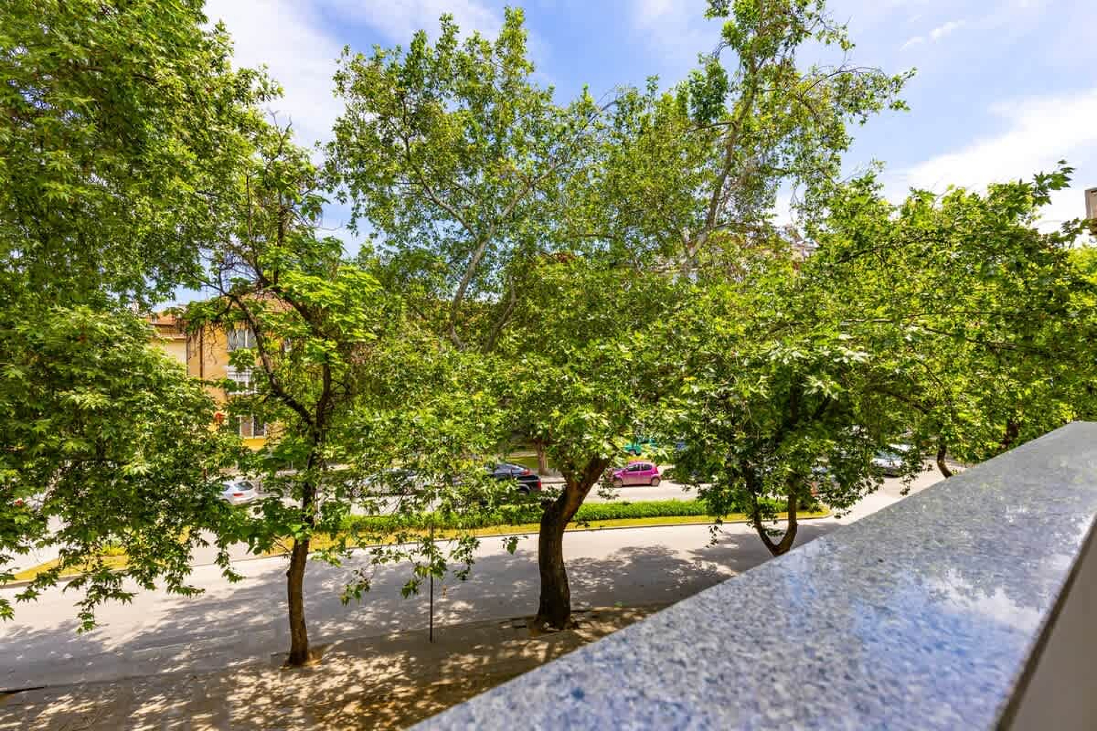 Scoutaround White Logo