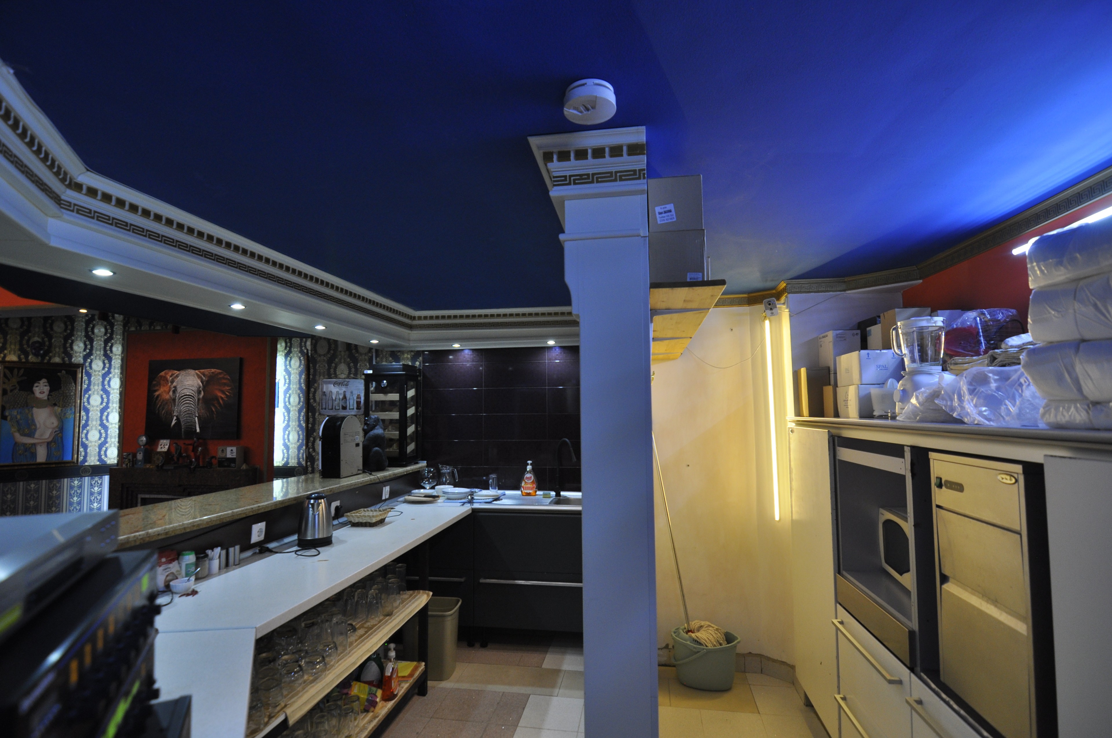 Scoutaround White Logo