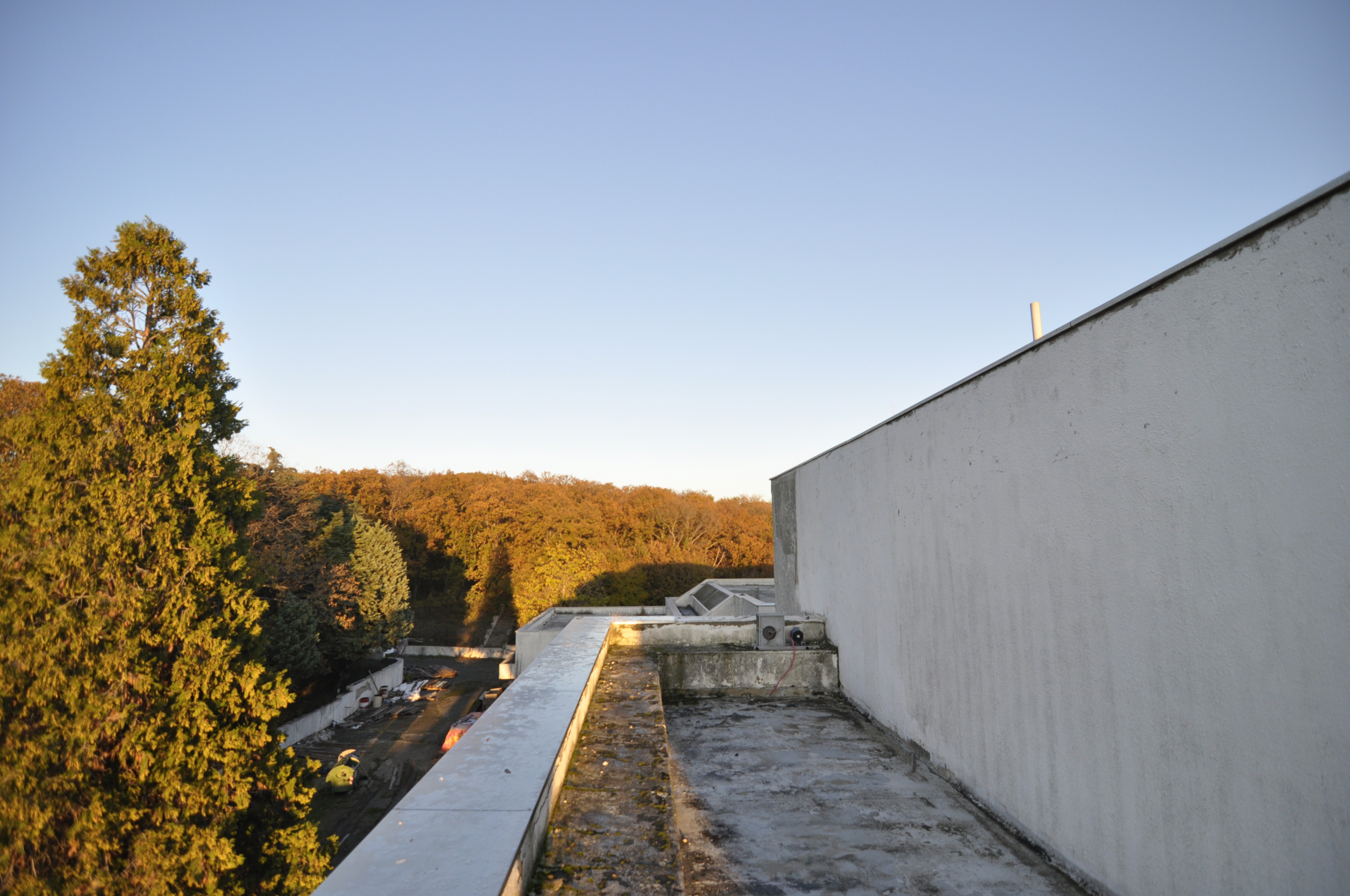 Scoutaround White Logo