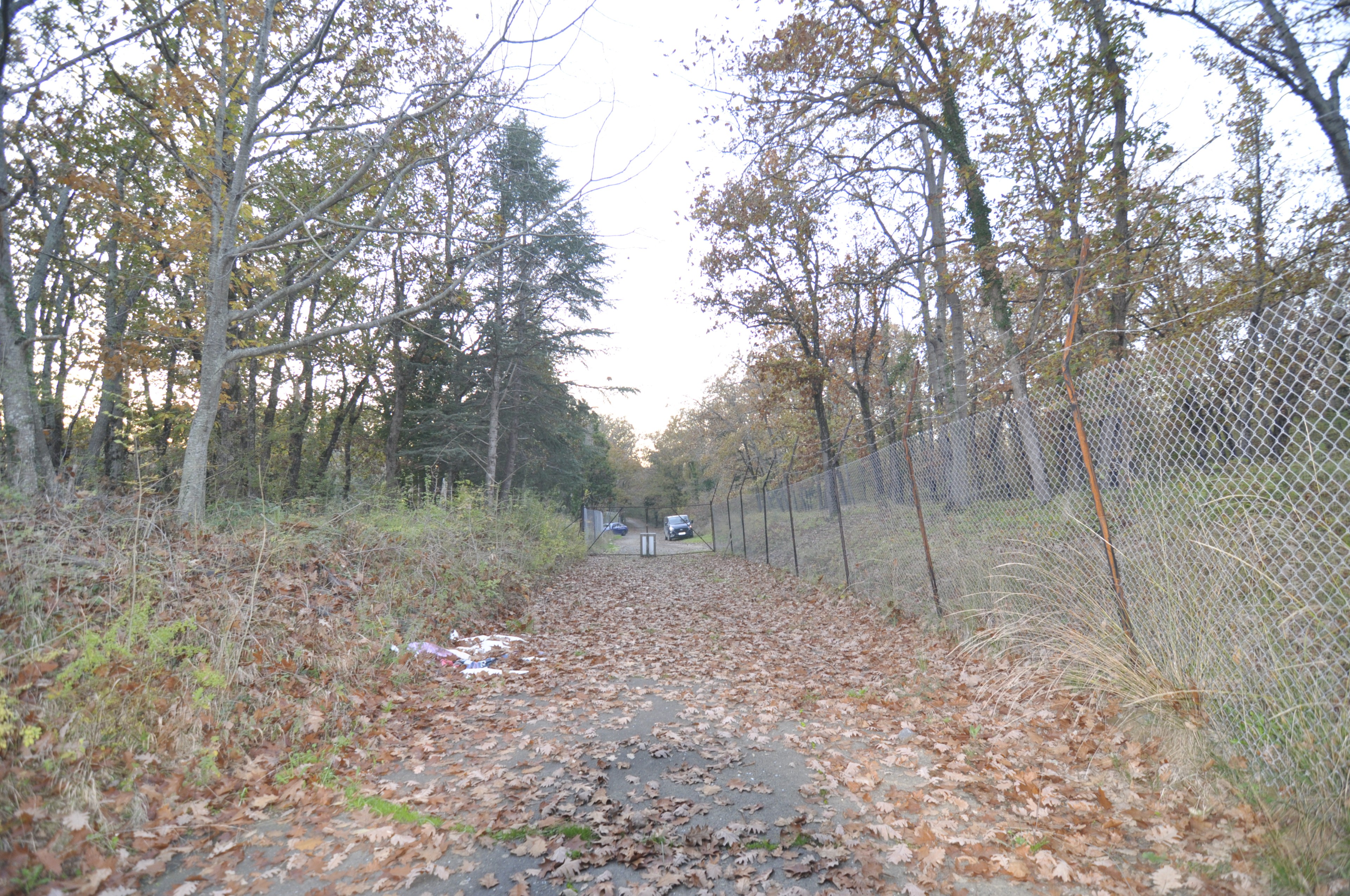 Scoutaround White Logo