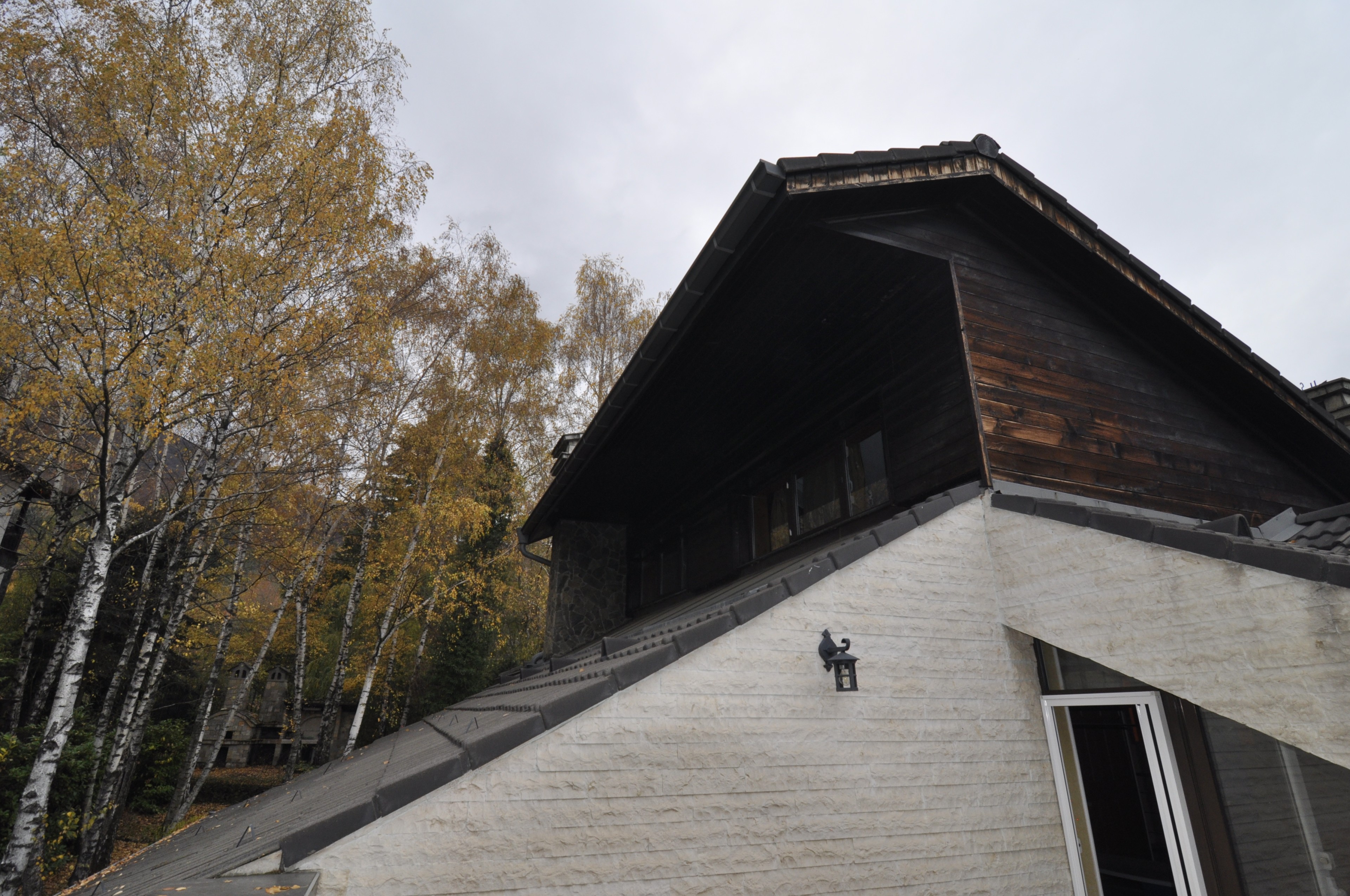 Scoutaround White Logo