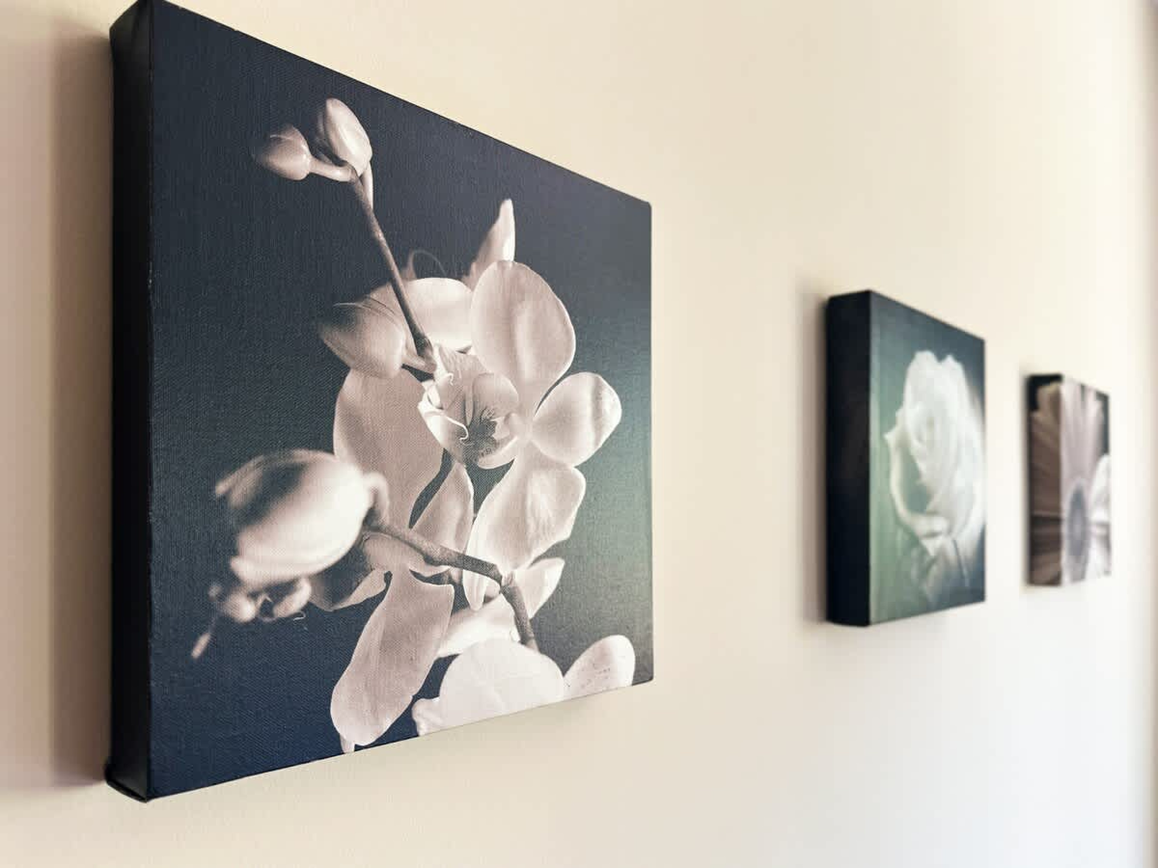 Scoutaround White Logo