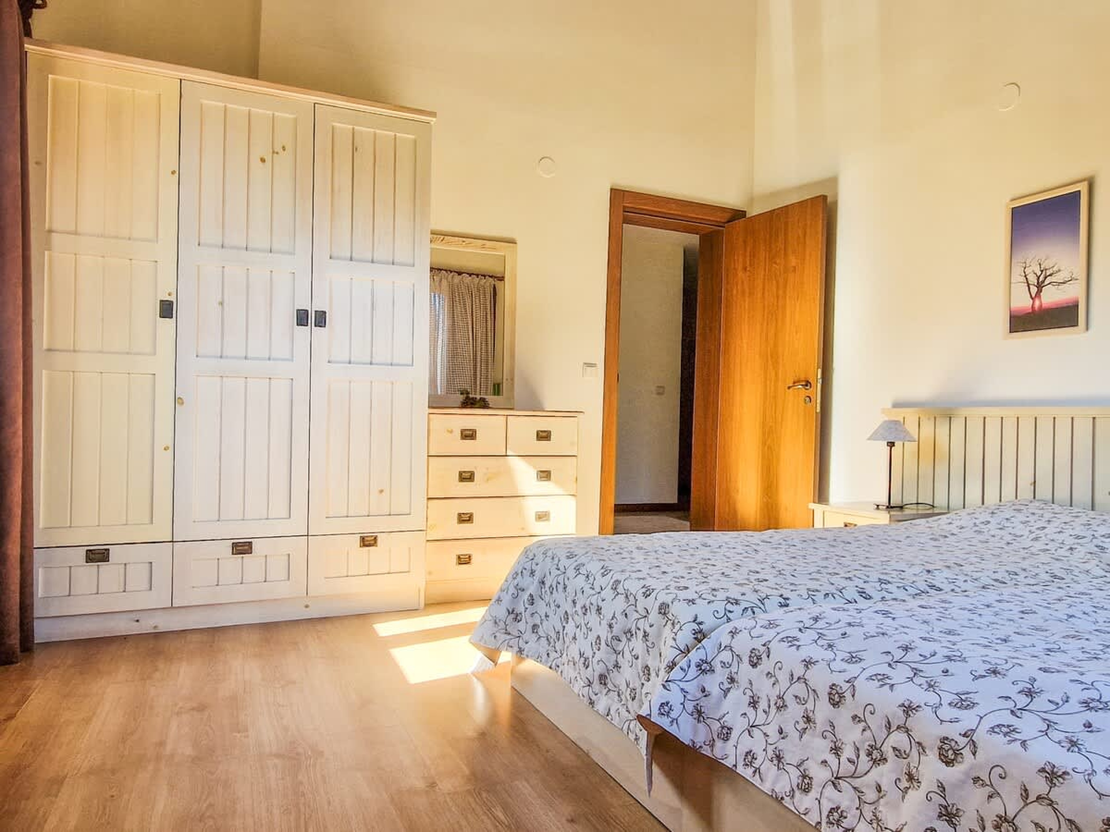 Scoutaround White Logo