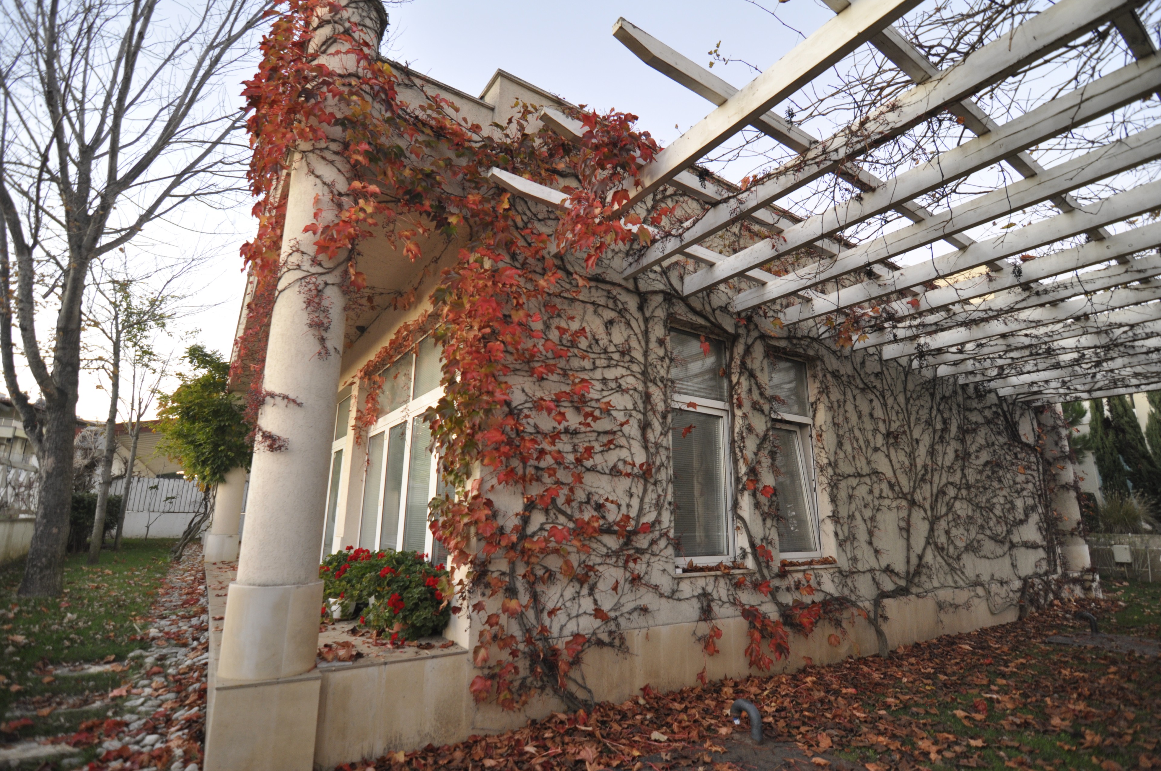 Scoutaround White Logo