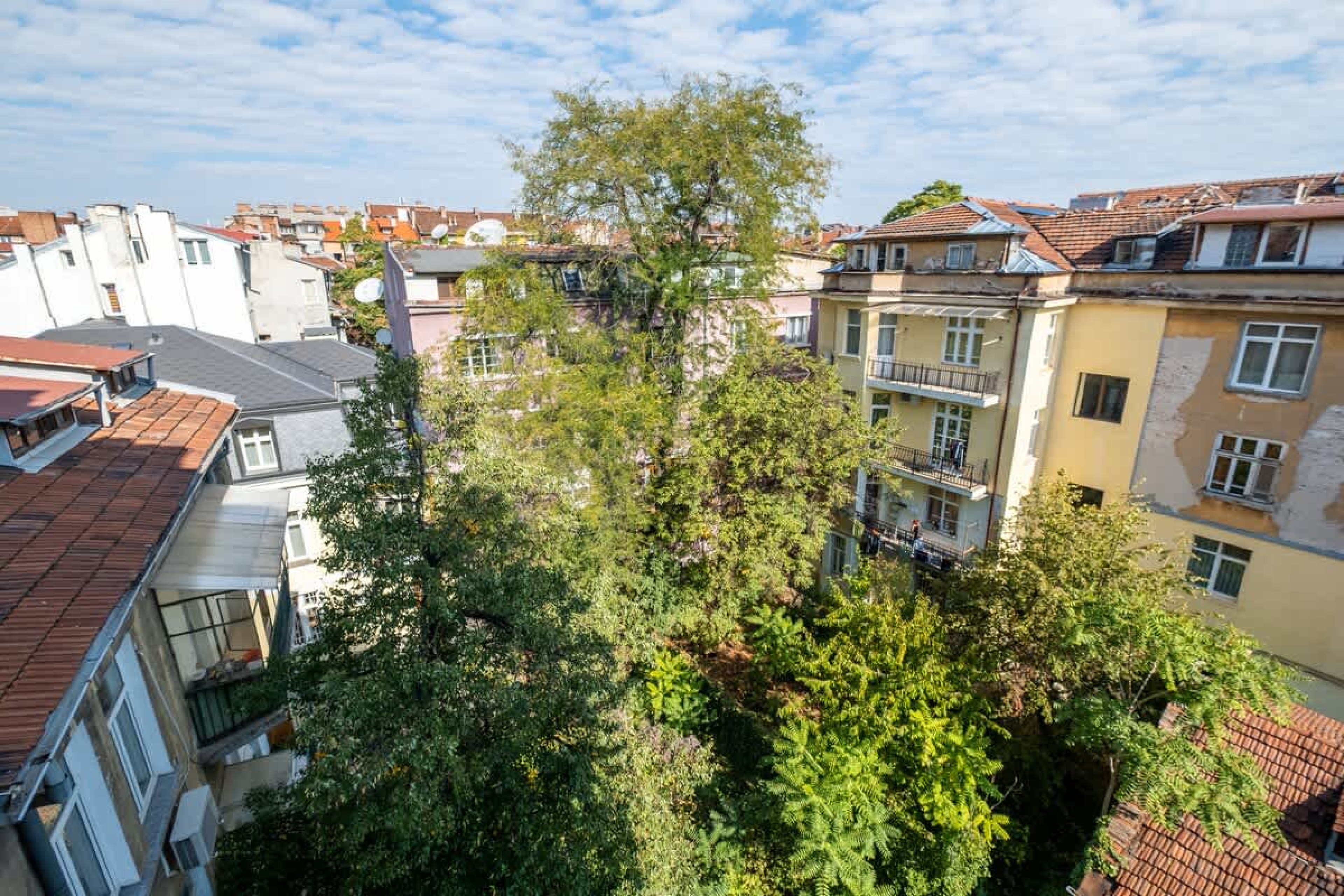 Scoutaround White Logo