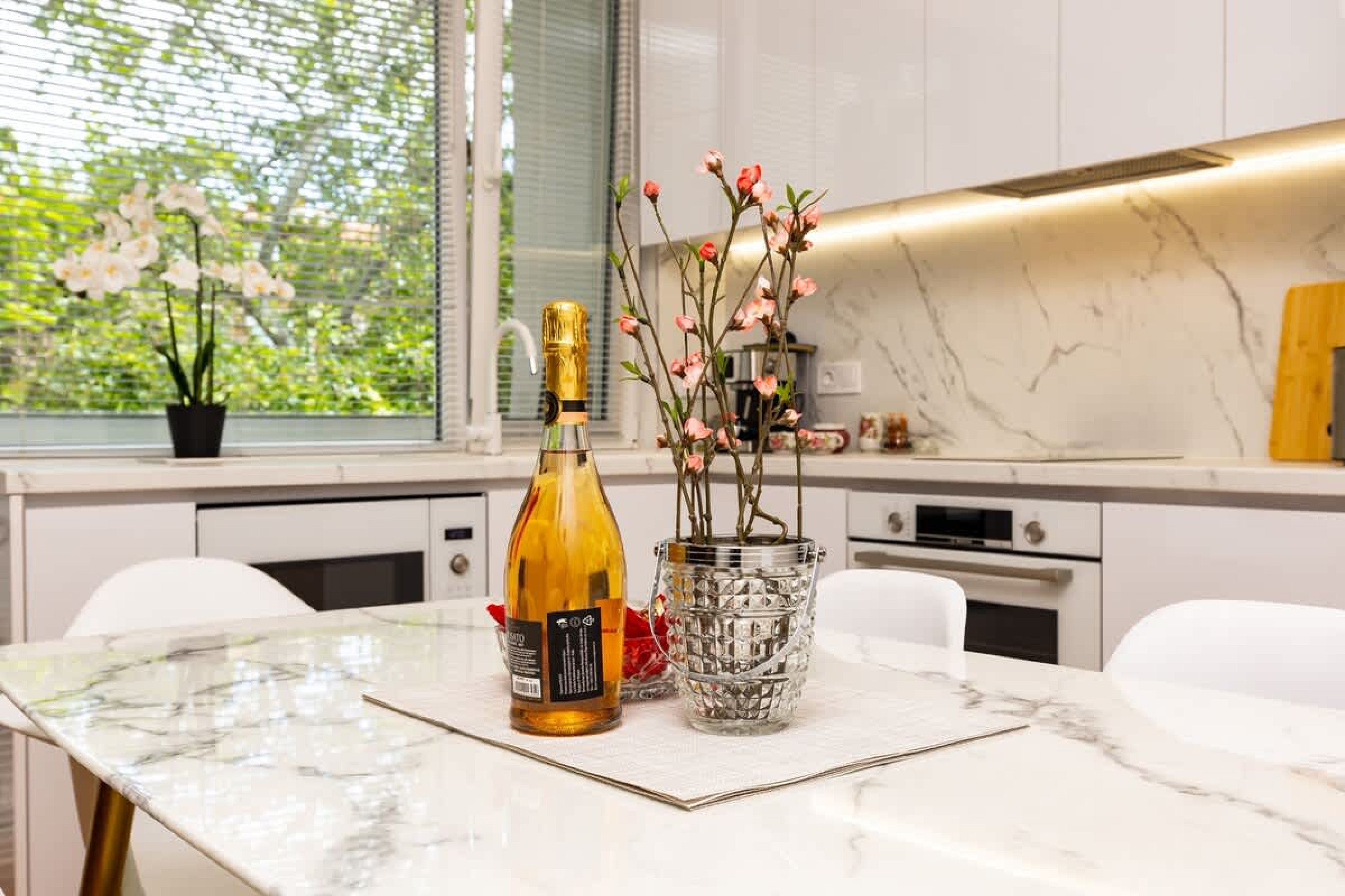 Scoutaround White Logo