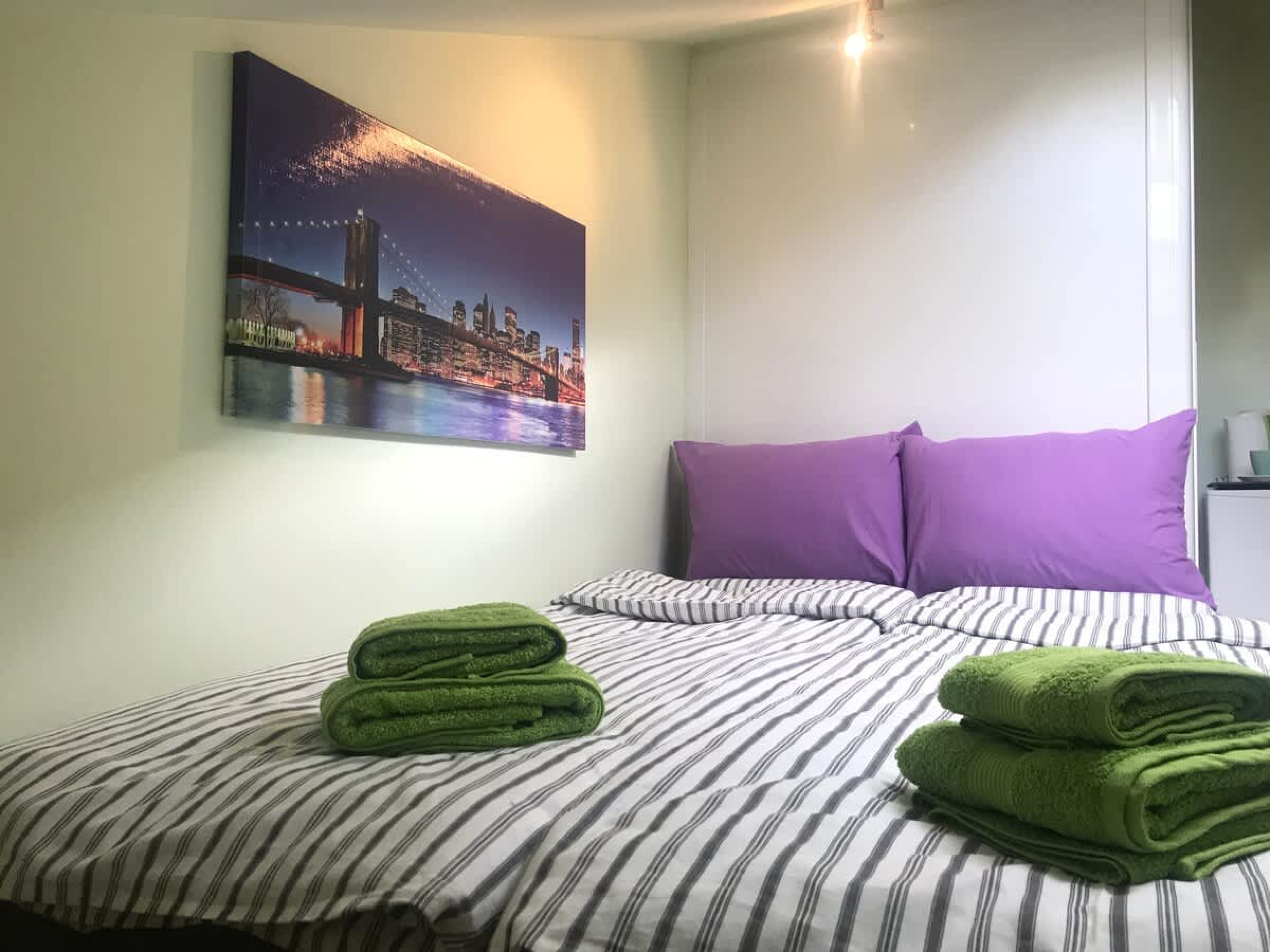 Scoutaround White Logo