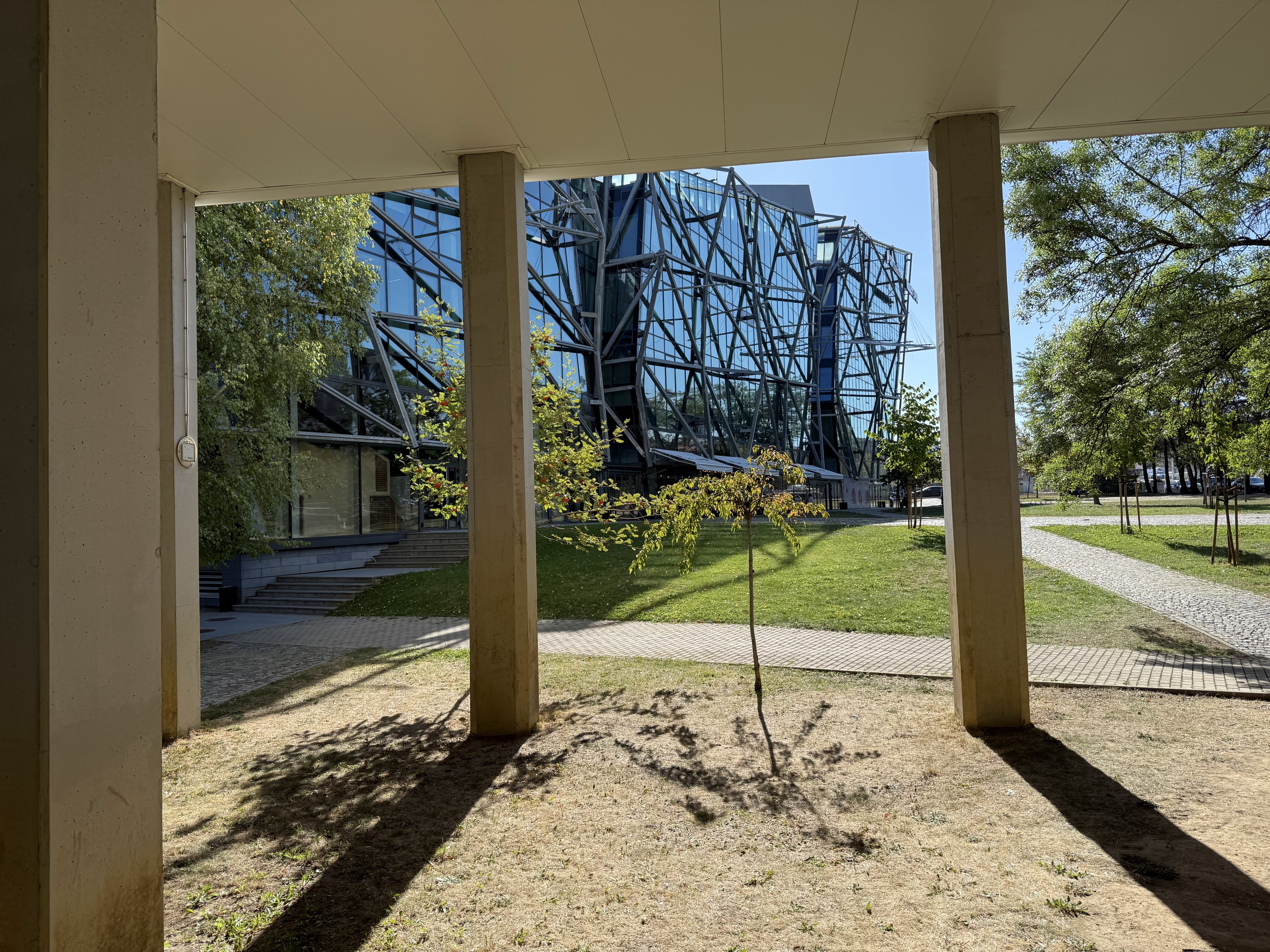 Scoutaround White Logo