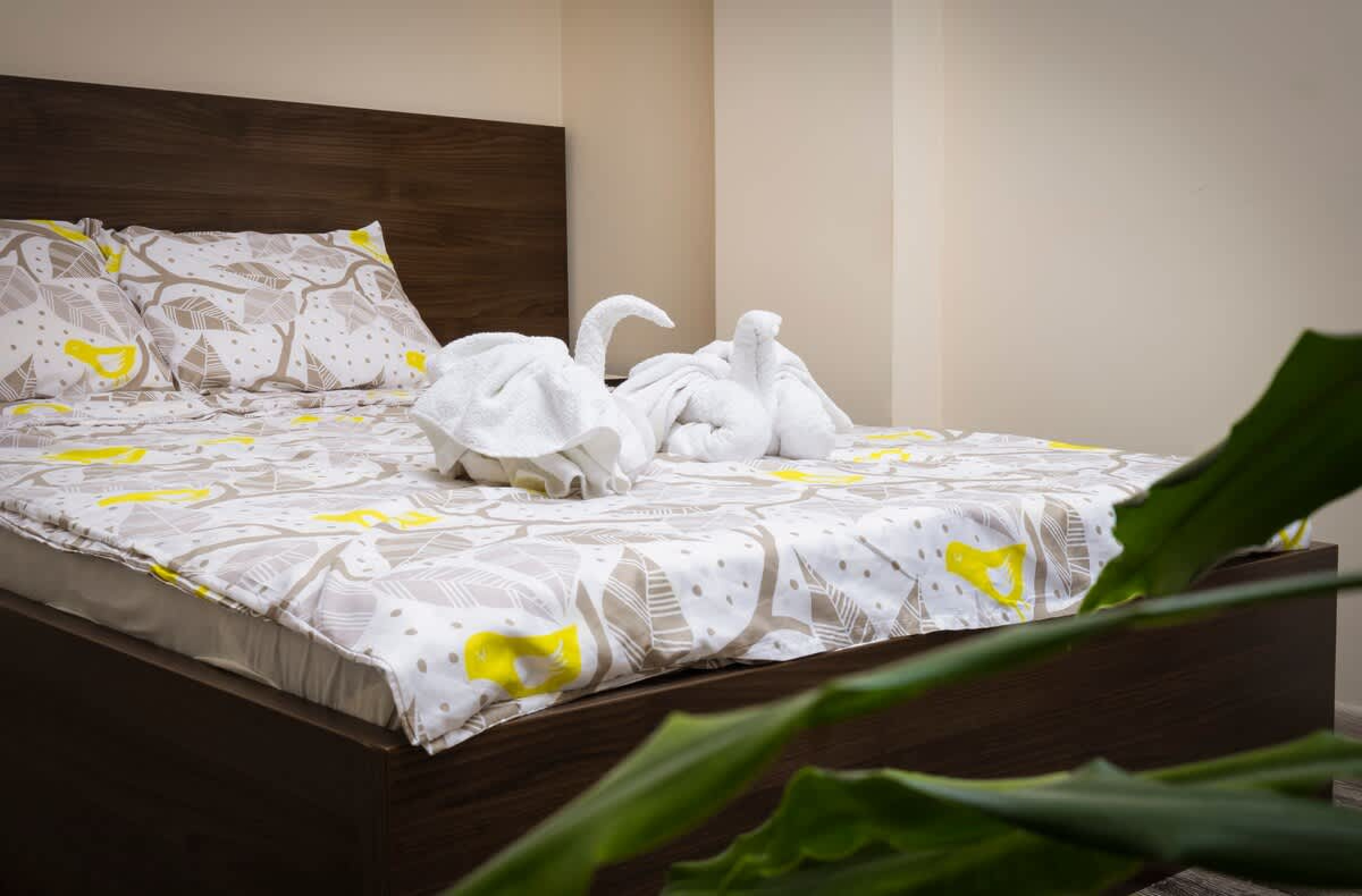 Scoutaround White Logo