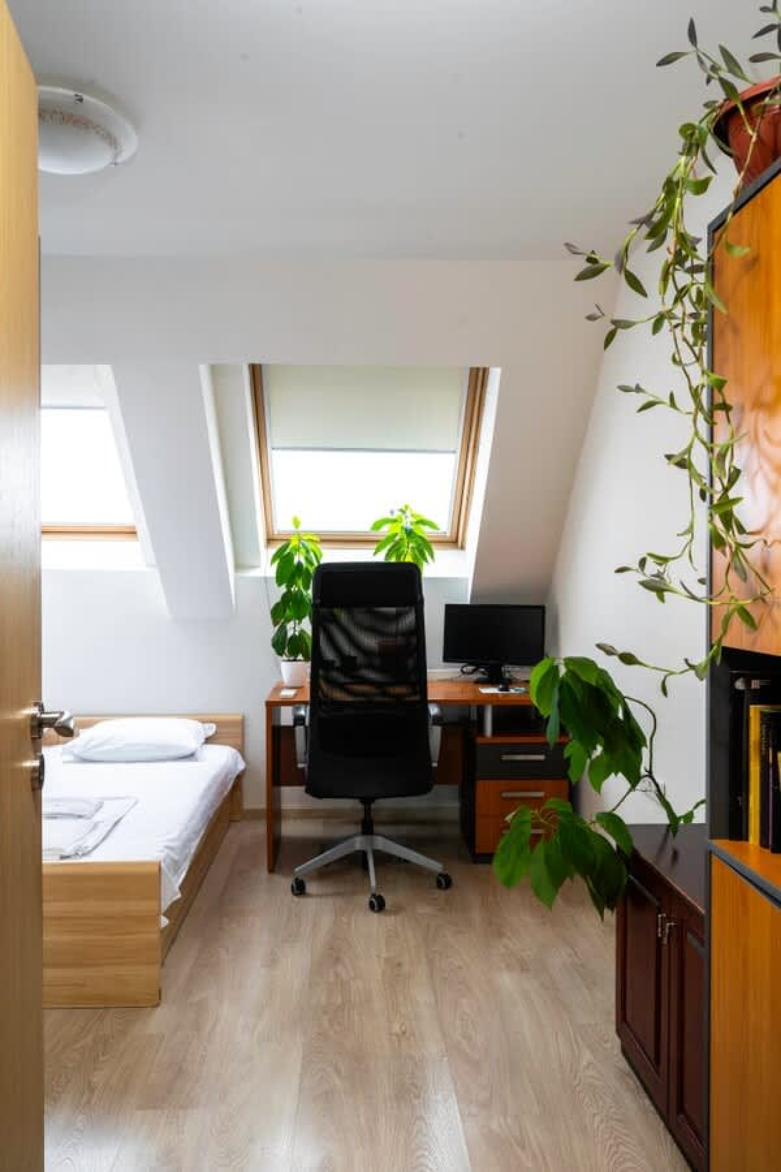 Scoutaround White Logo