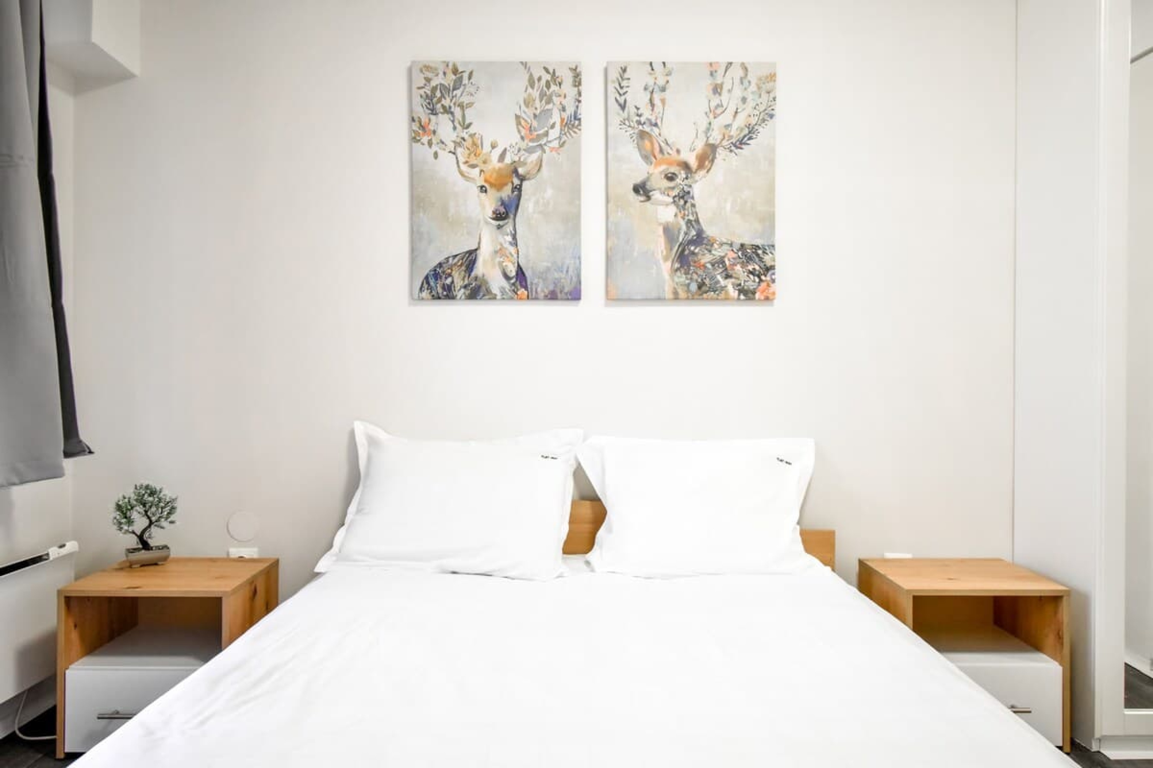 Scoutaround White Logo