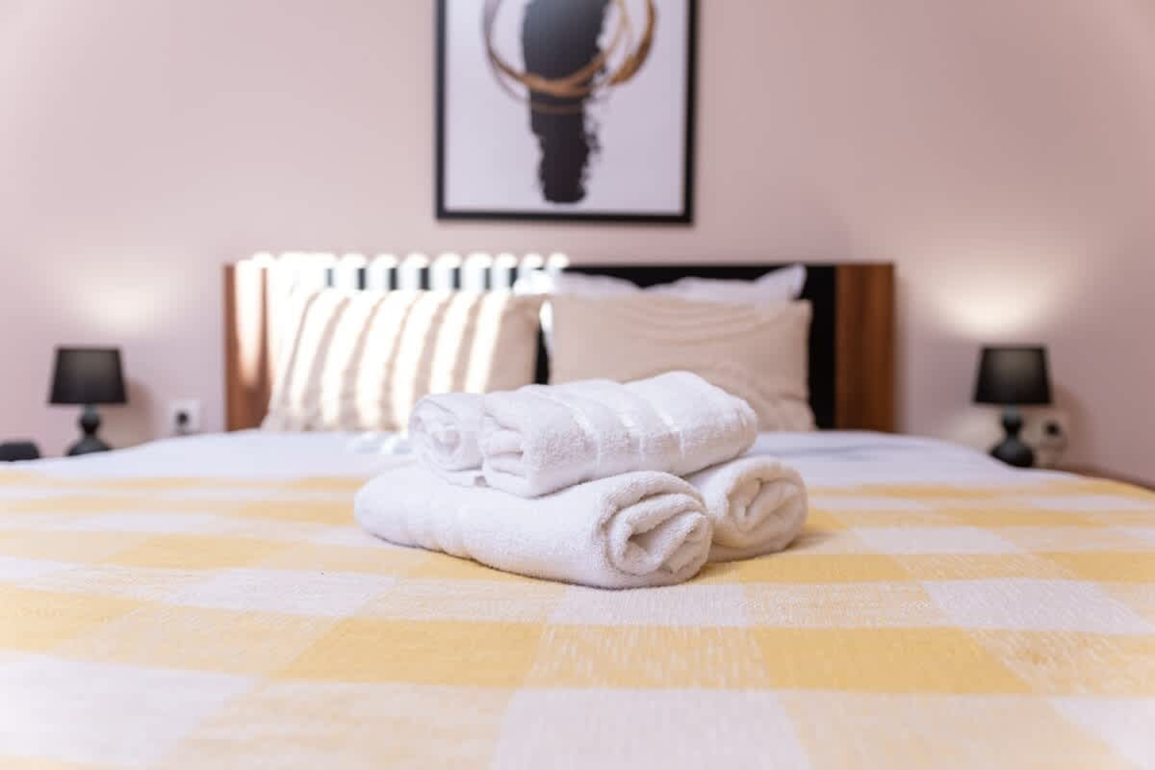 Scoutaround White Logo