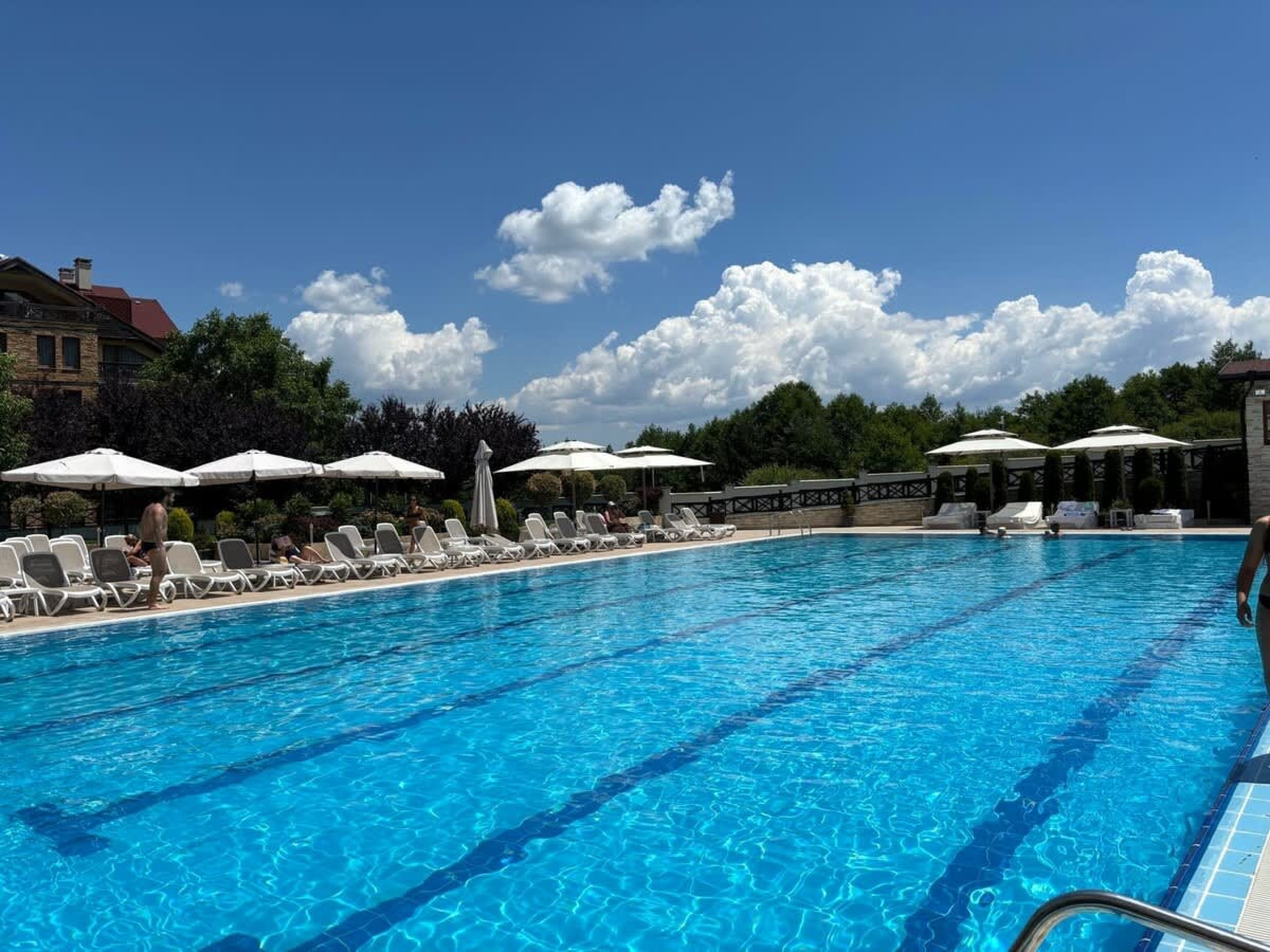 Scoutaround White Logo