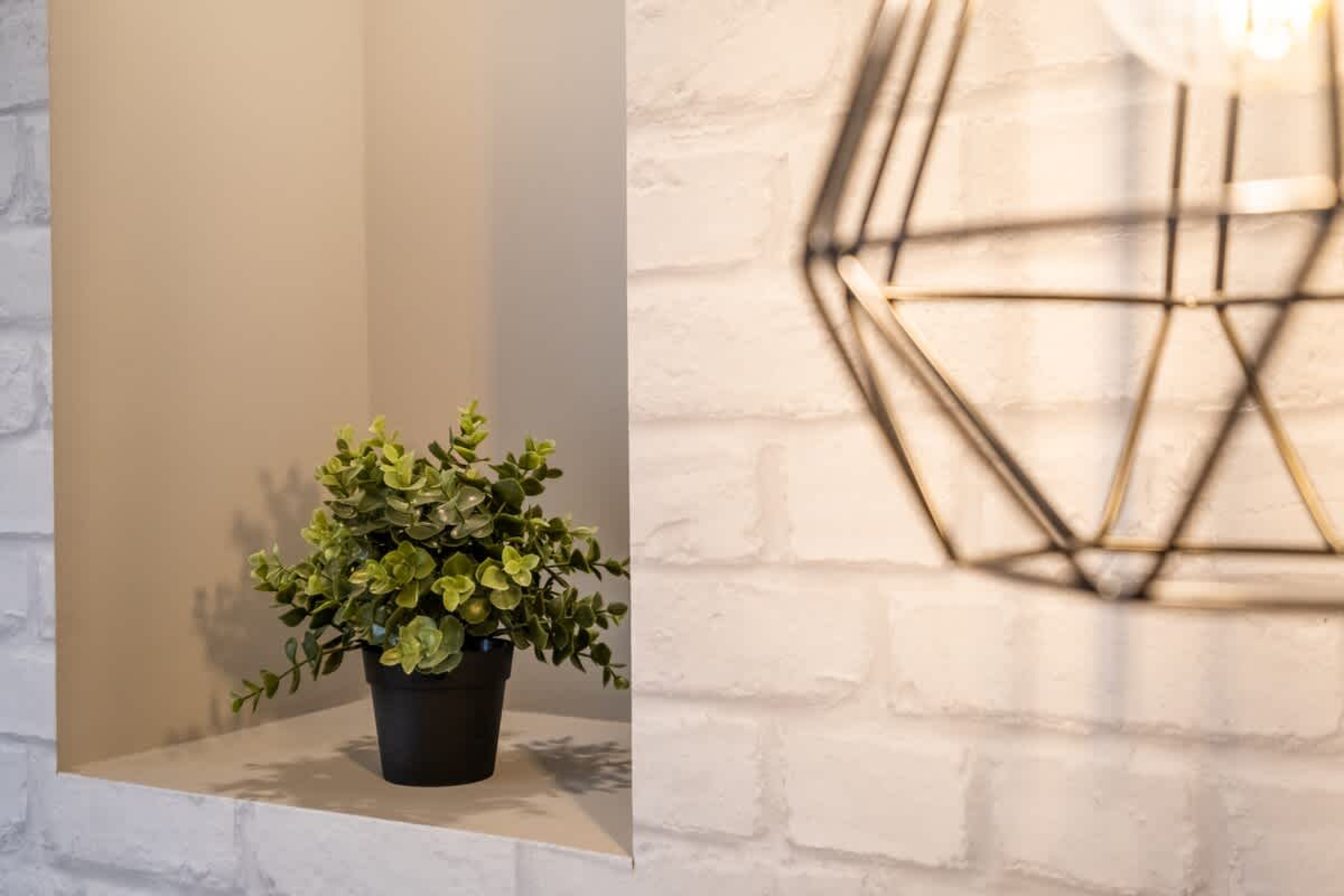 Scoutaround White Logo