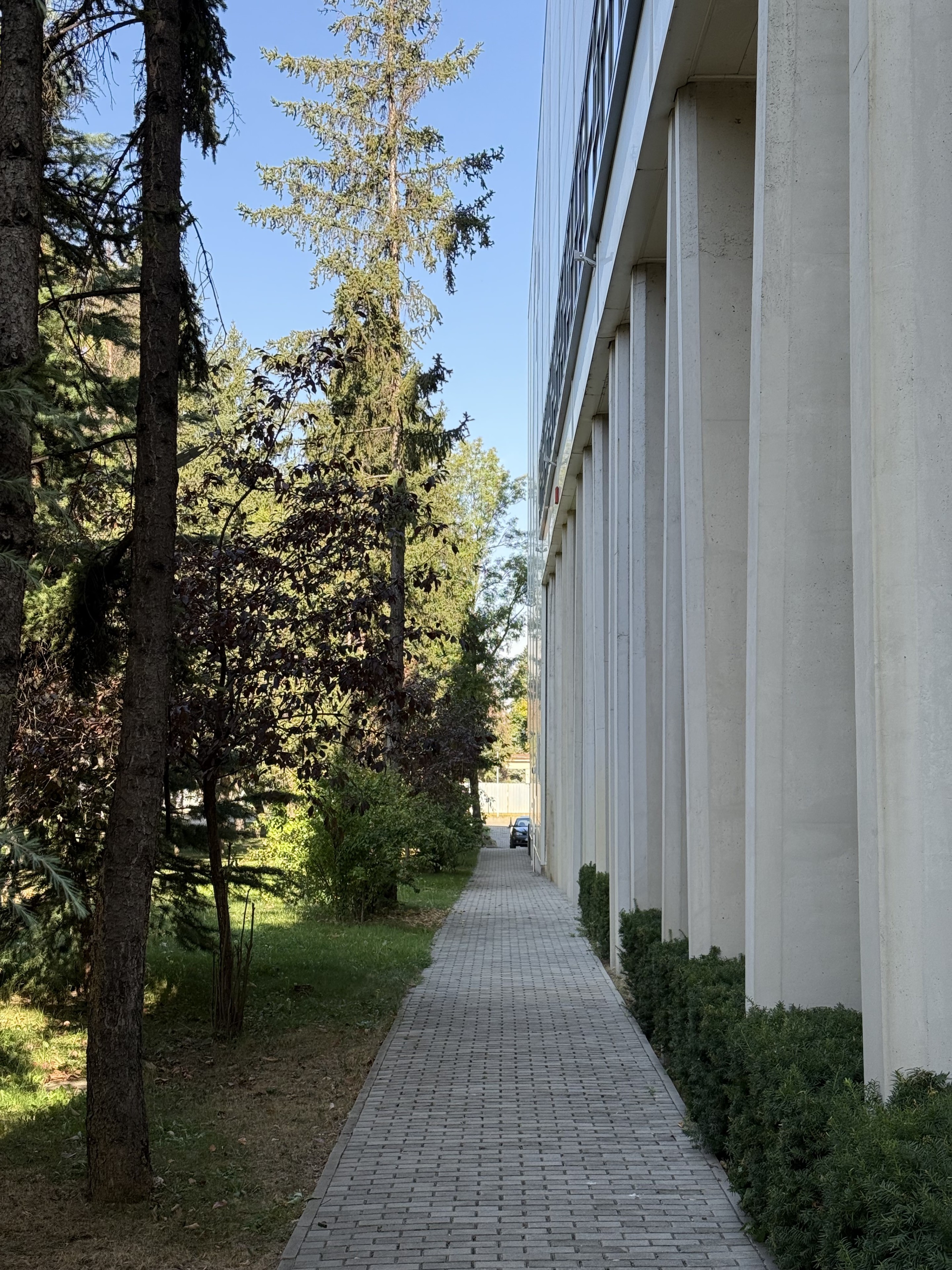 Scoutaround White Logo