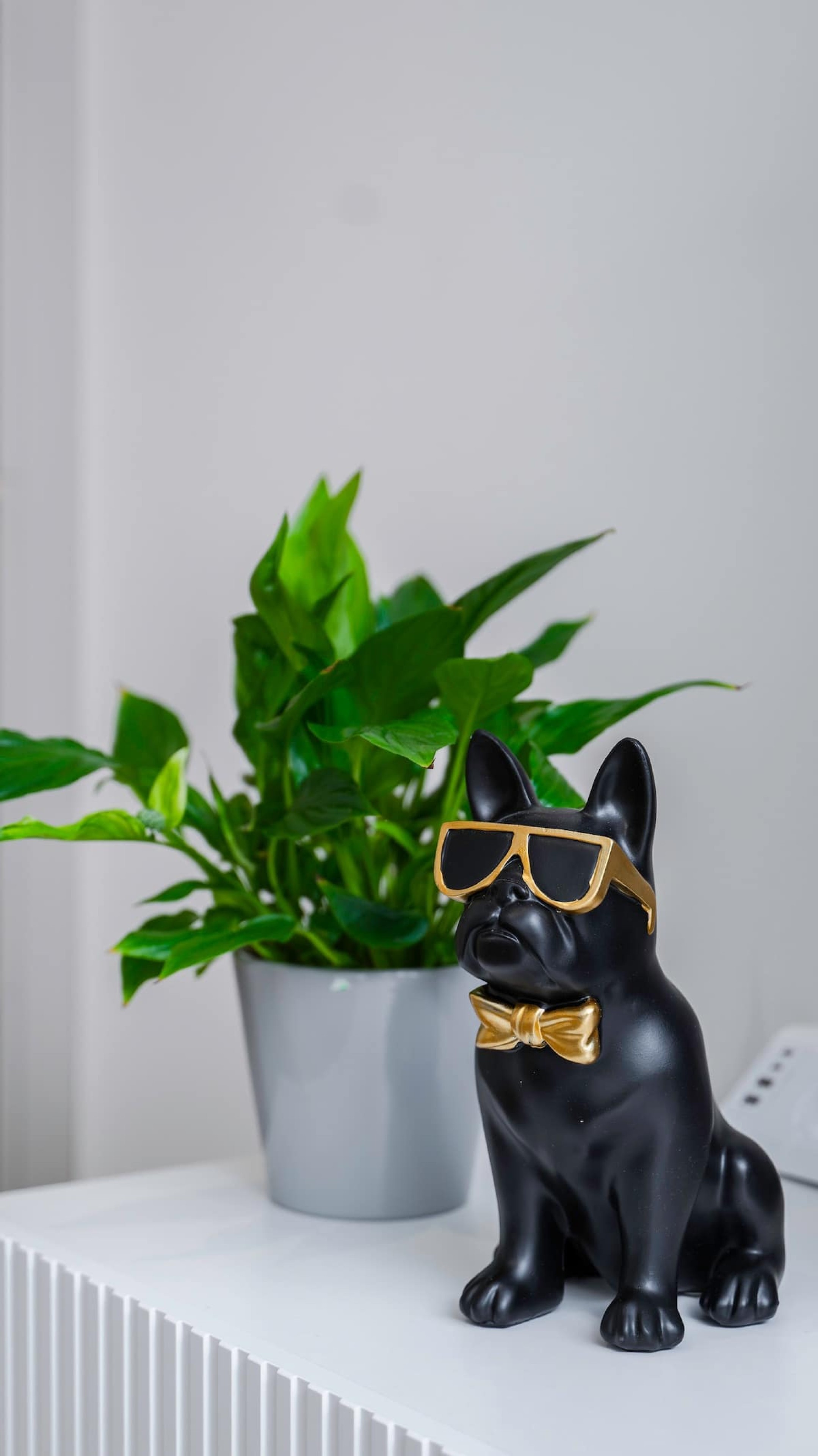 Scoutaround White Logo