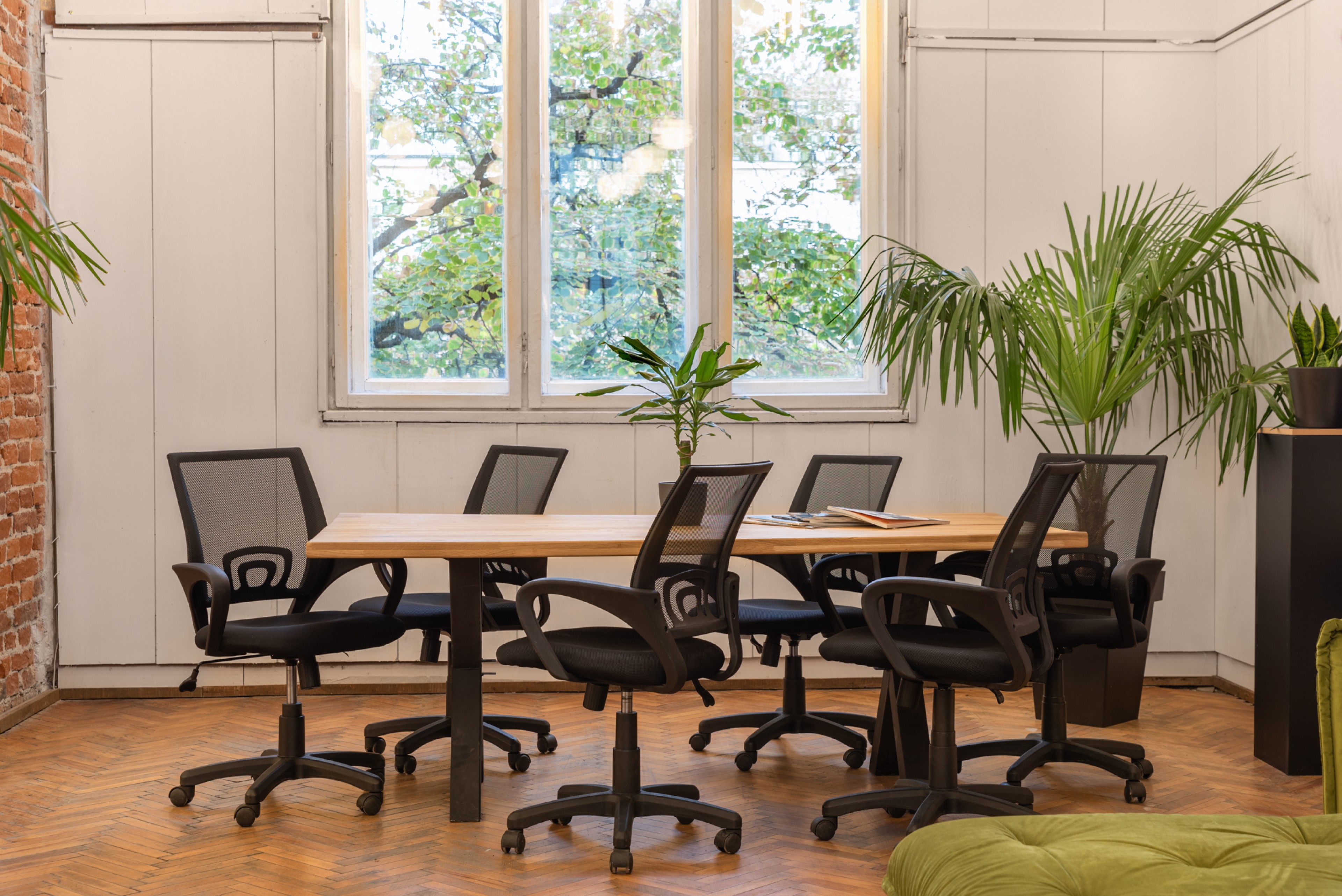 Scoutaround White Logo