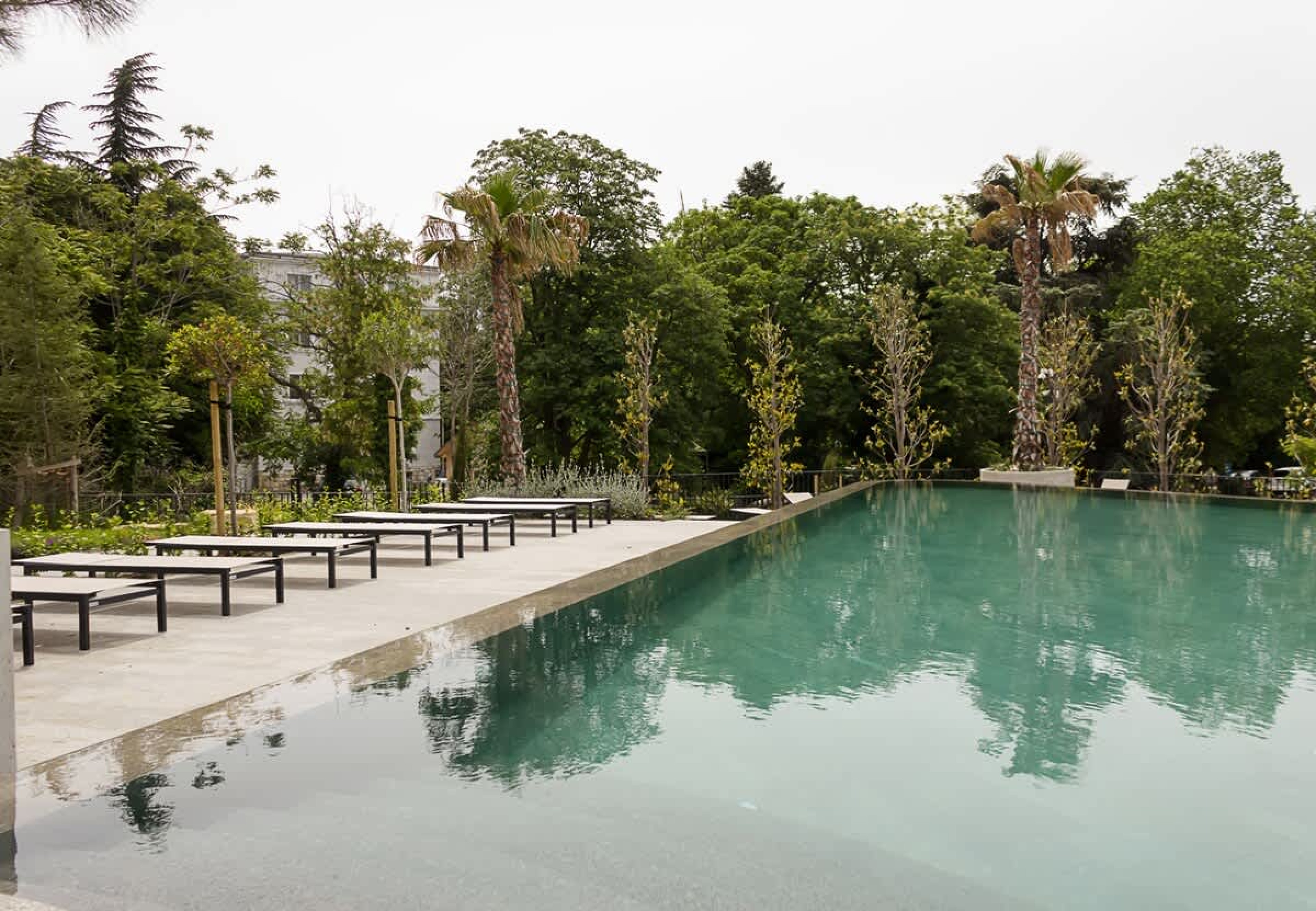 Scoutaround White Logo