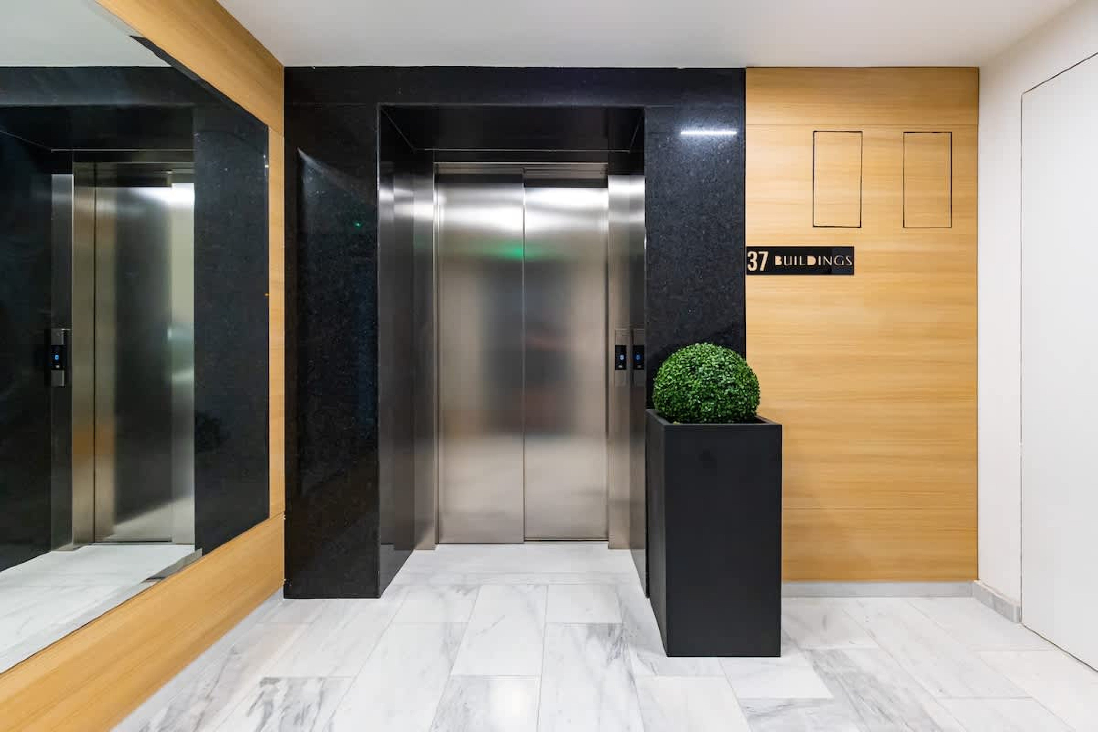 Scoutaround White Logo