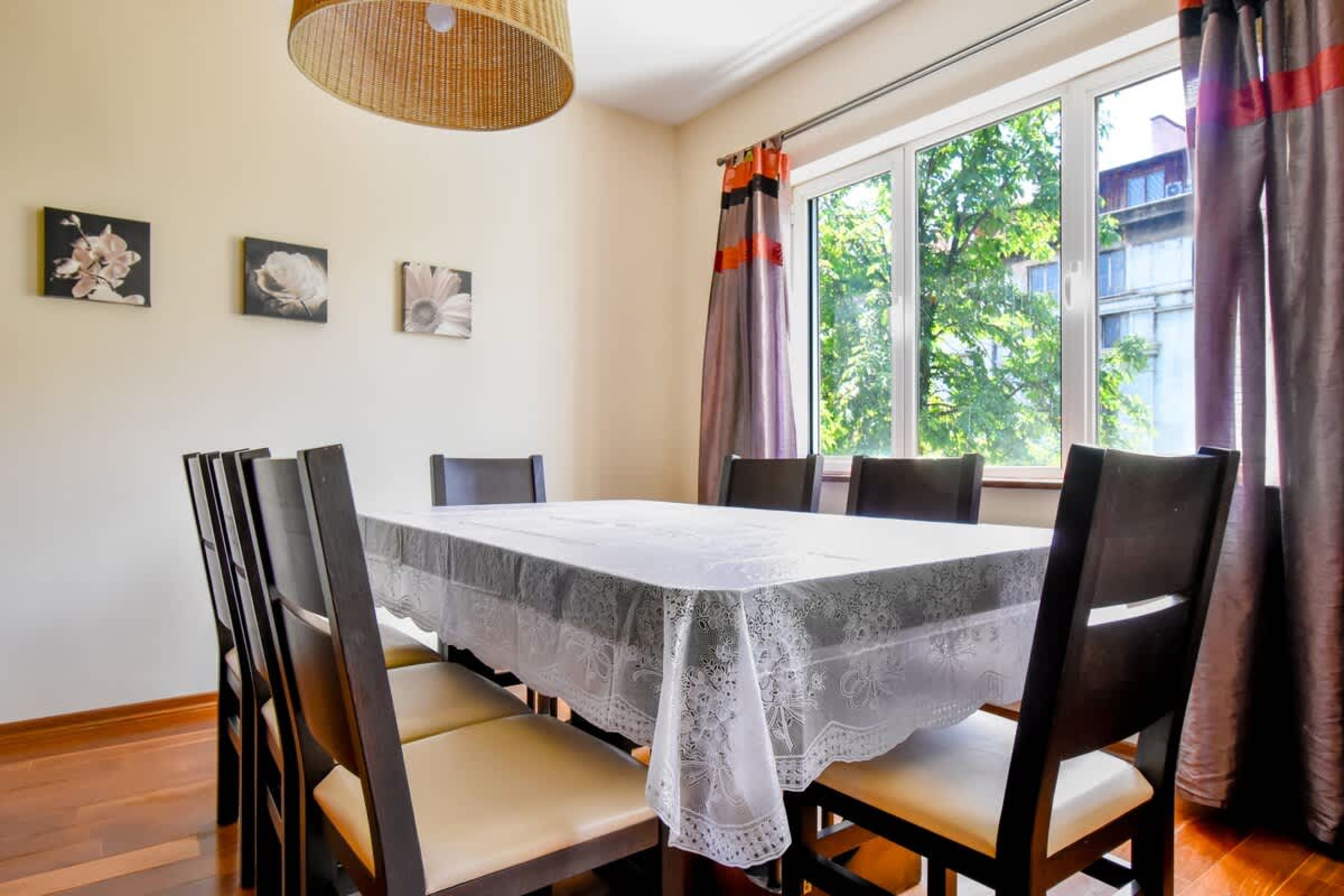 Scoutaround White Logo