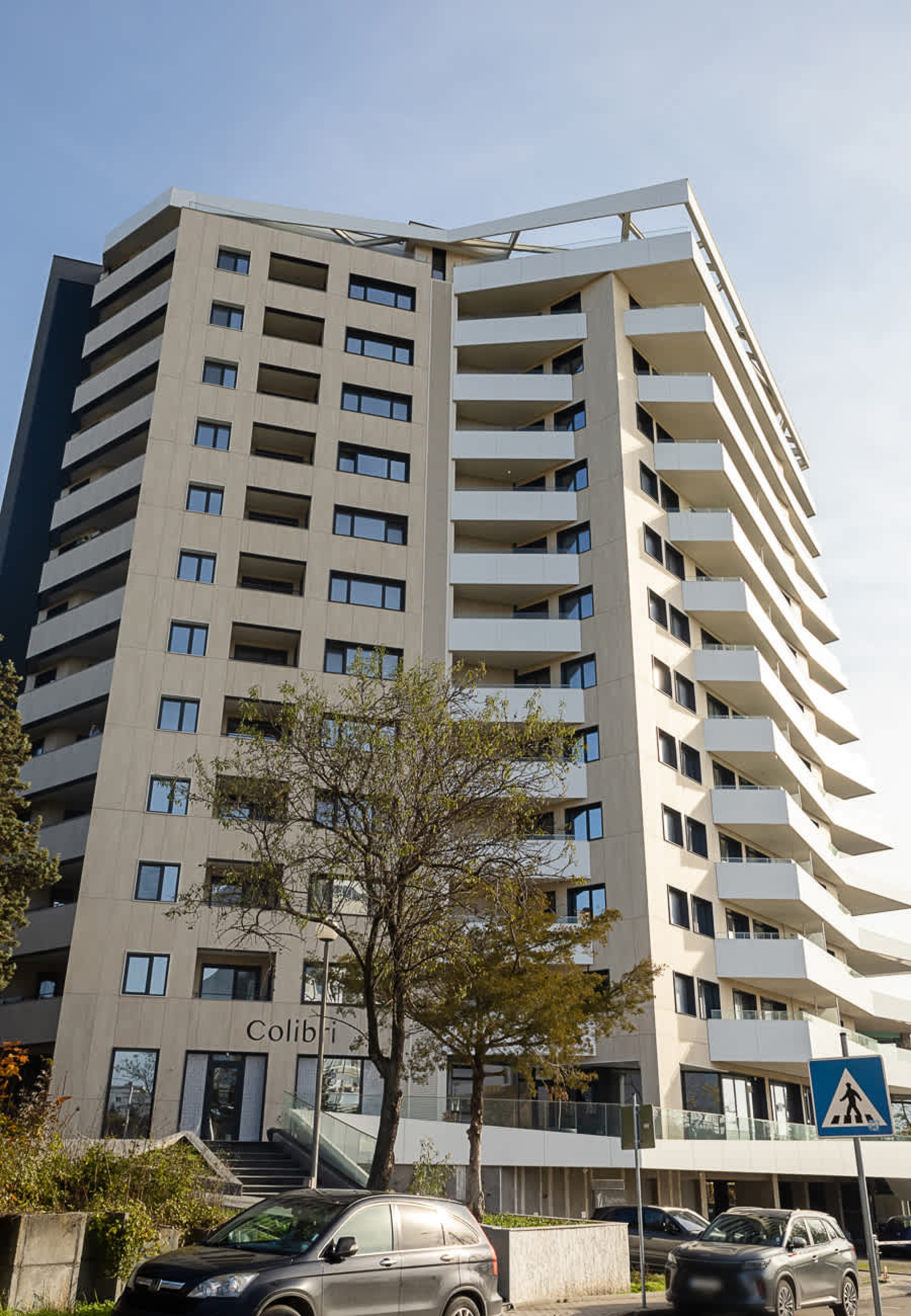 Scoutaround White Logo