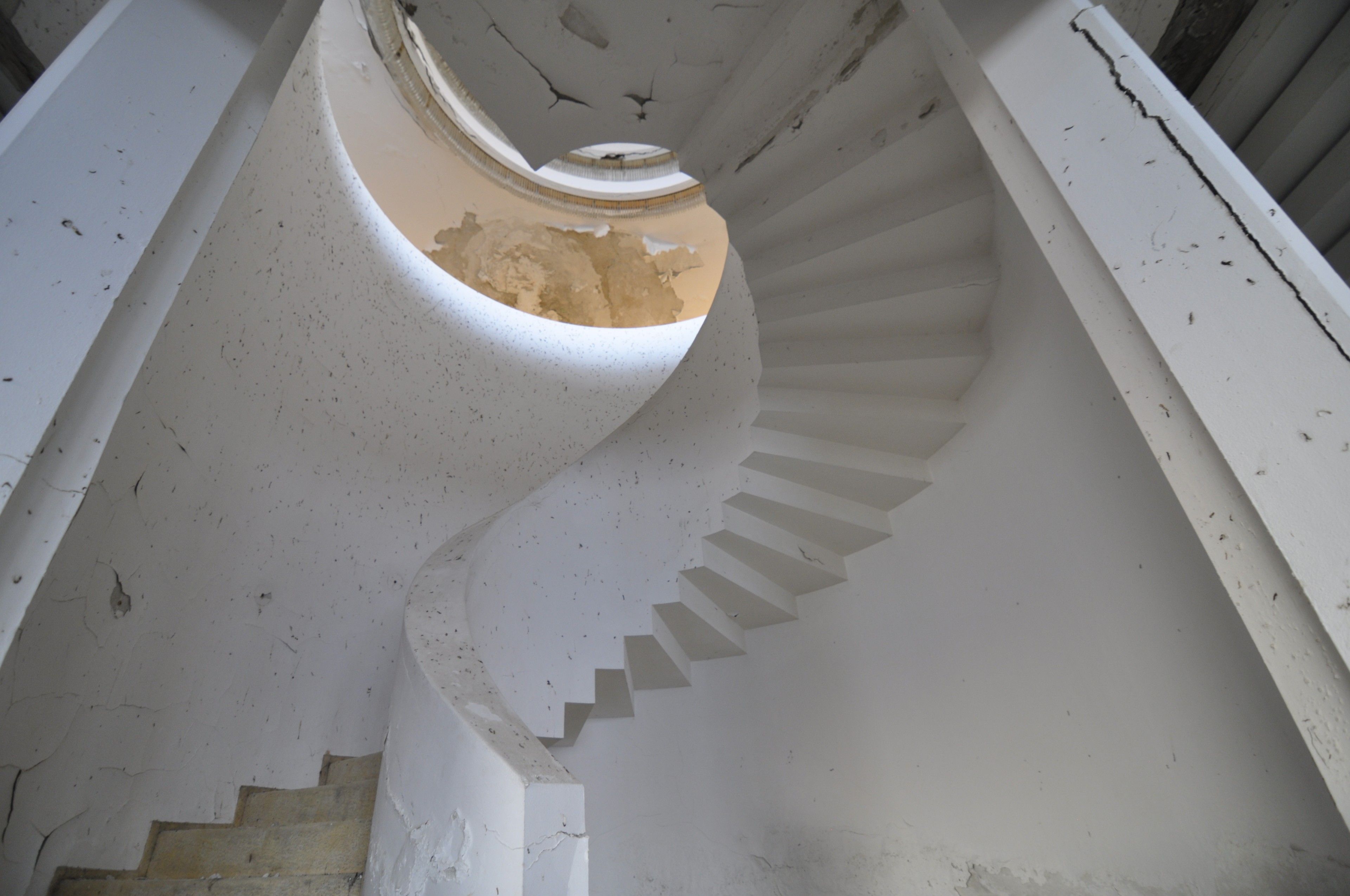 Scoutaround White Logo