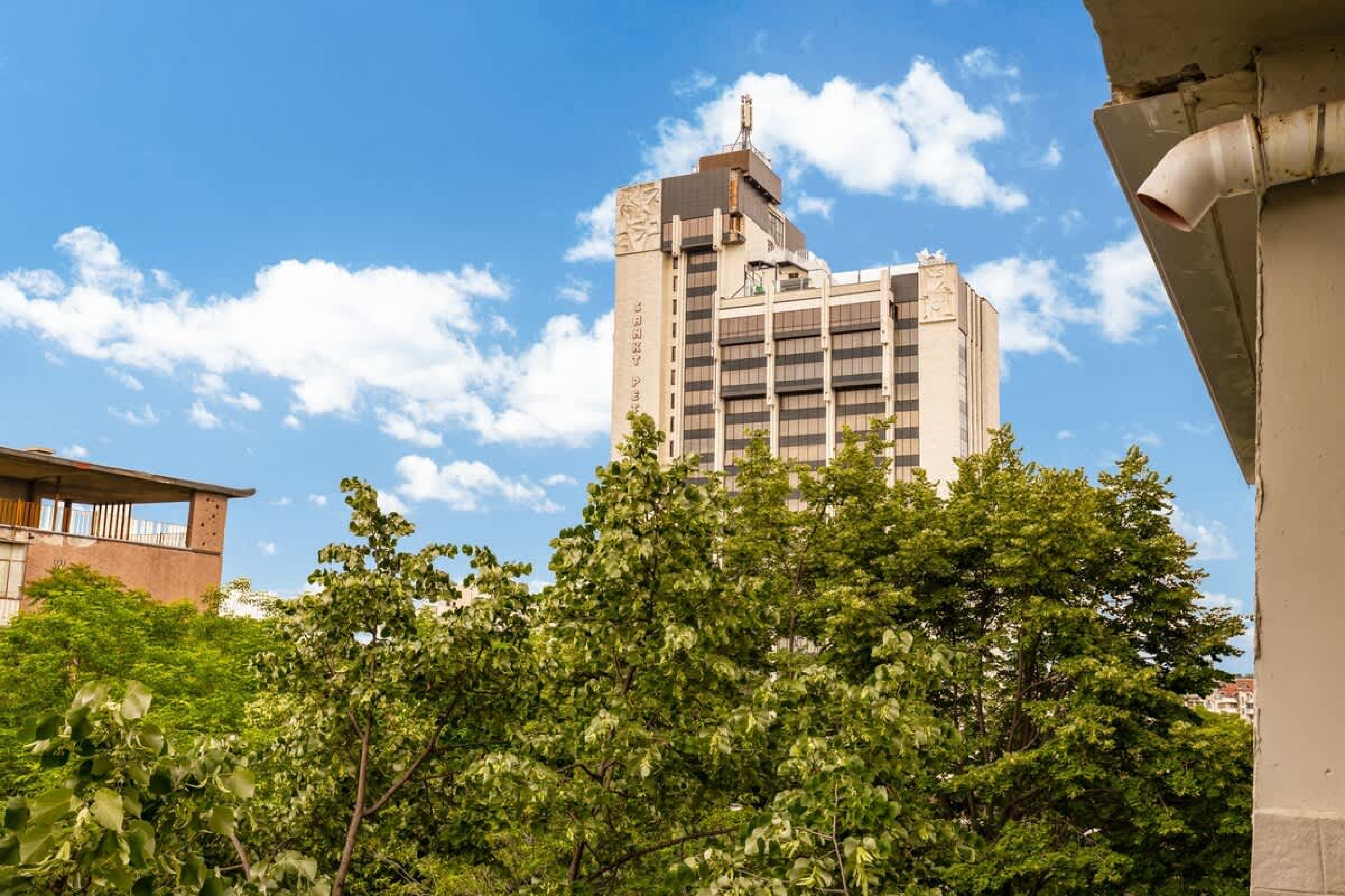 Scoutaround White Logo