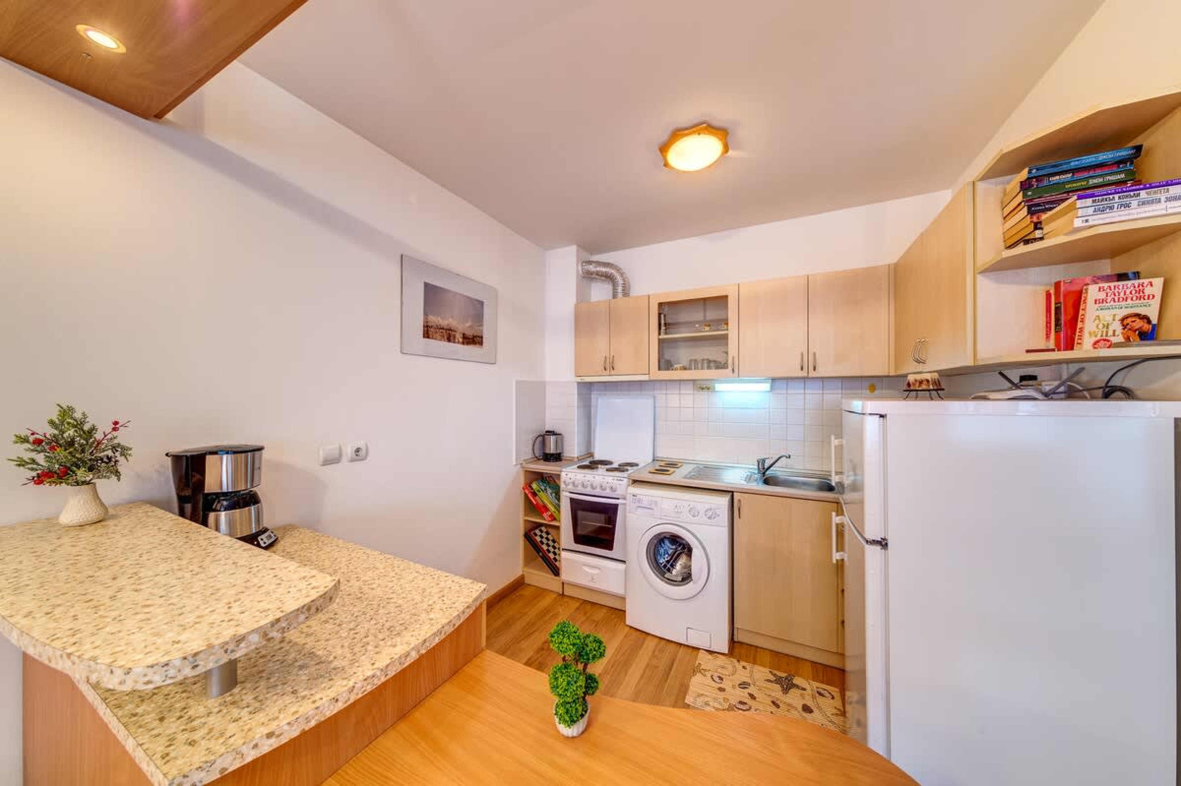 Scoutaround White Logo