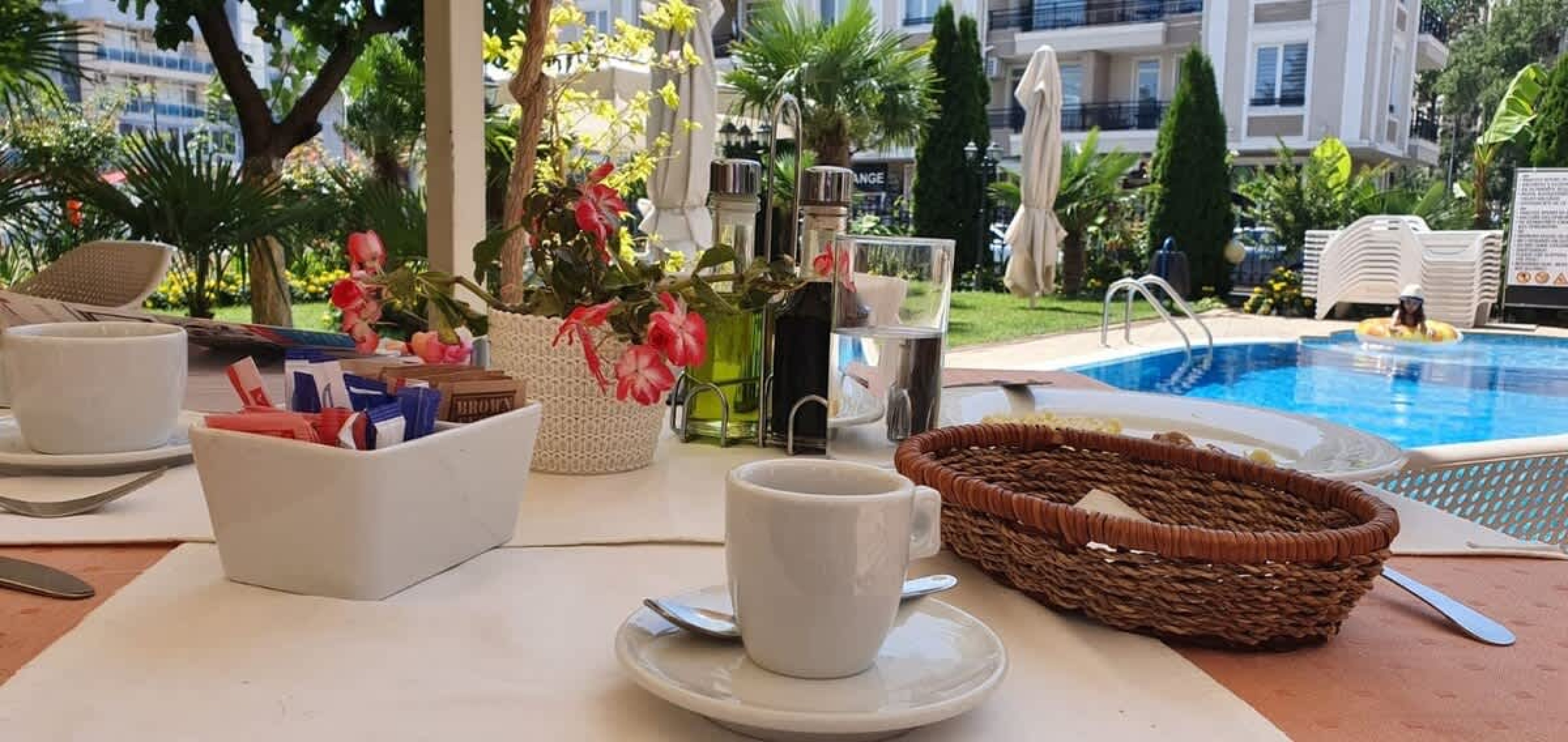 Scoutaround White Logo