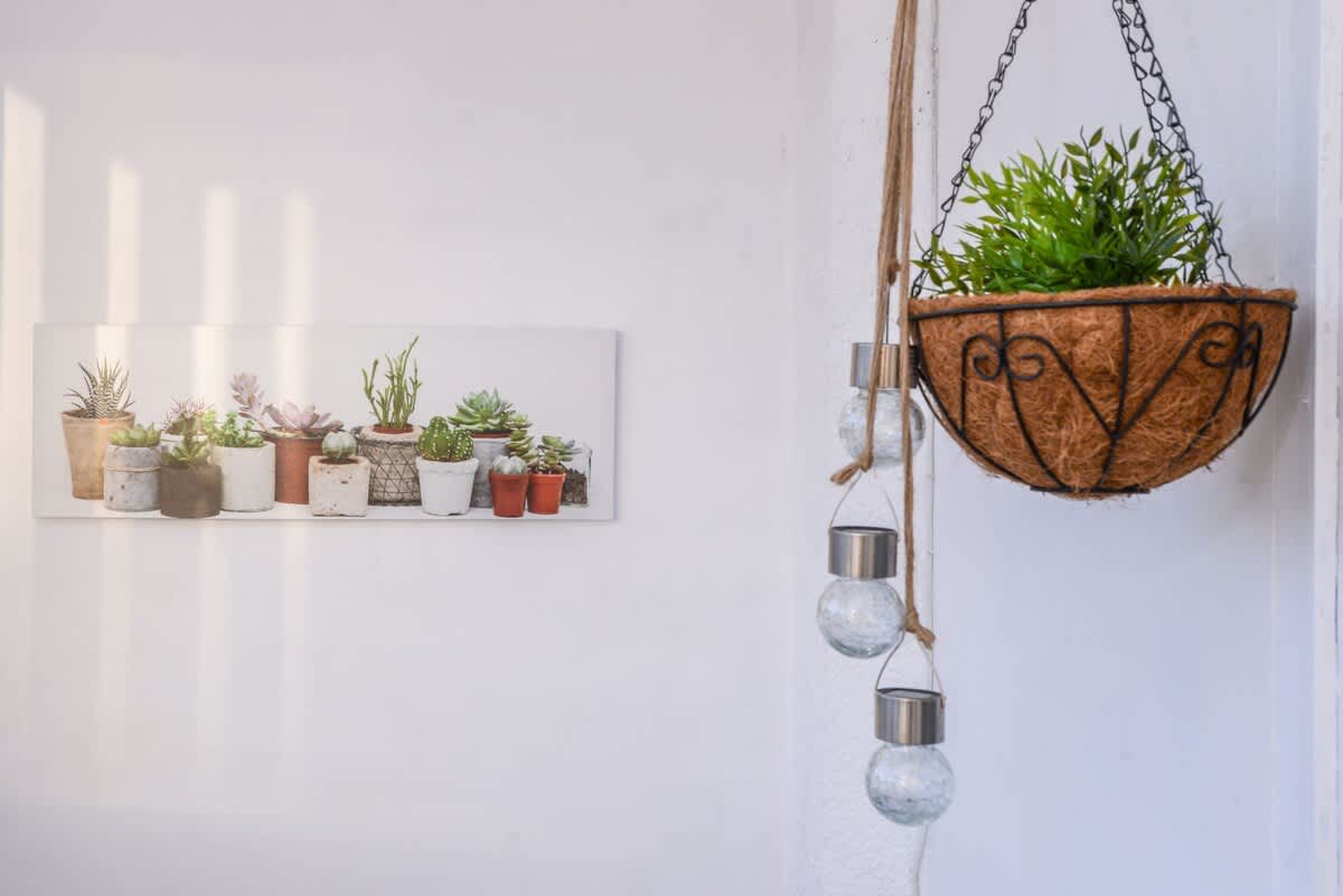 Scoutaround White Logo