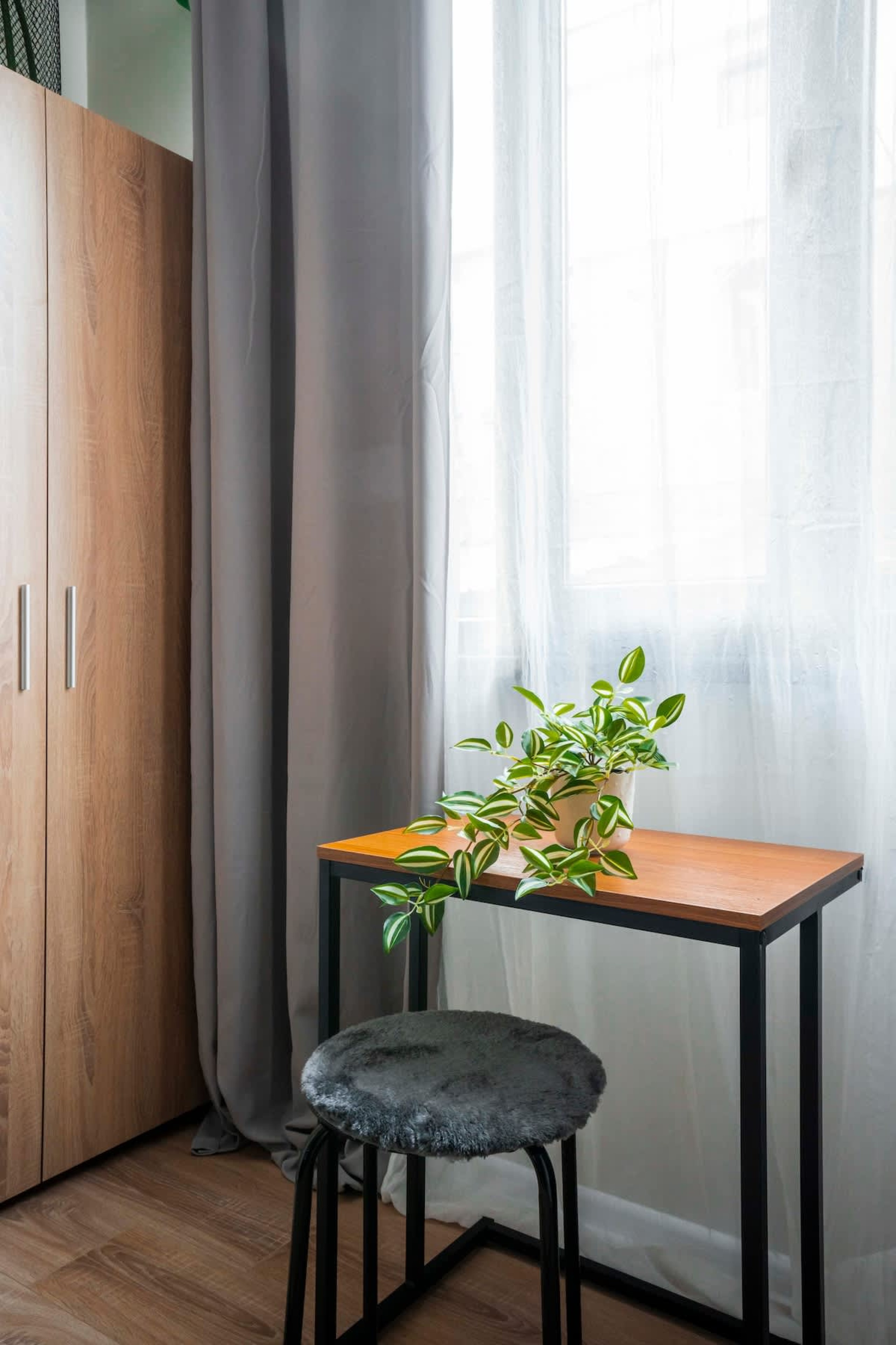 Scoutaround White Logo