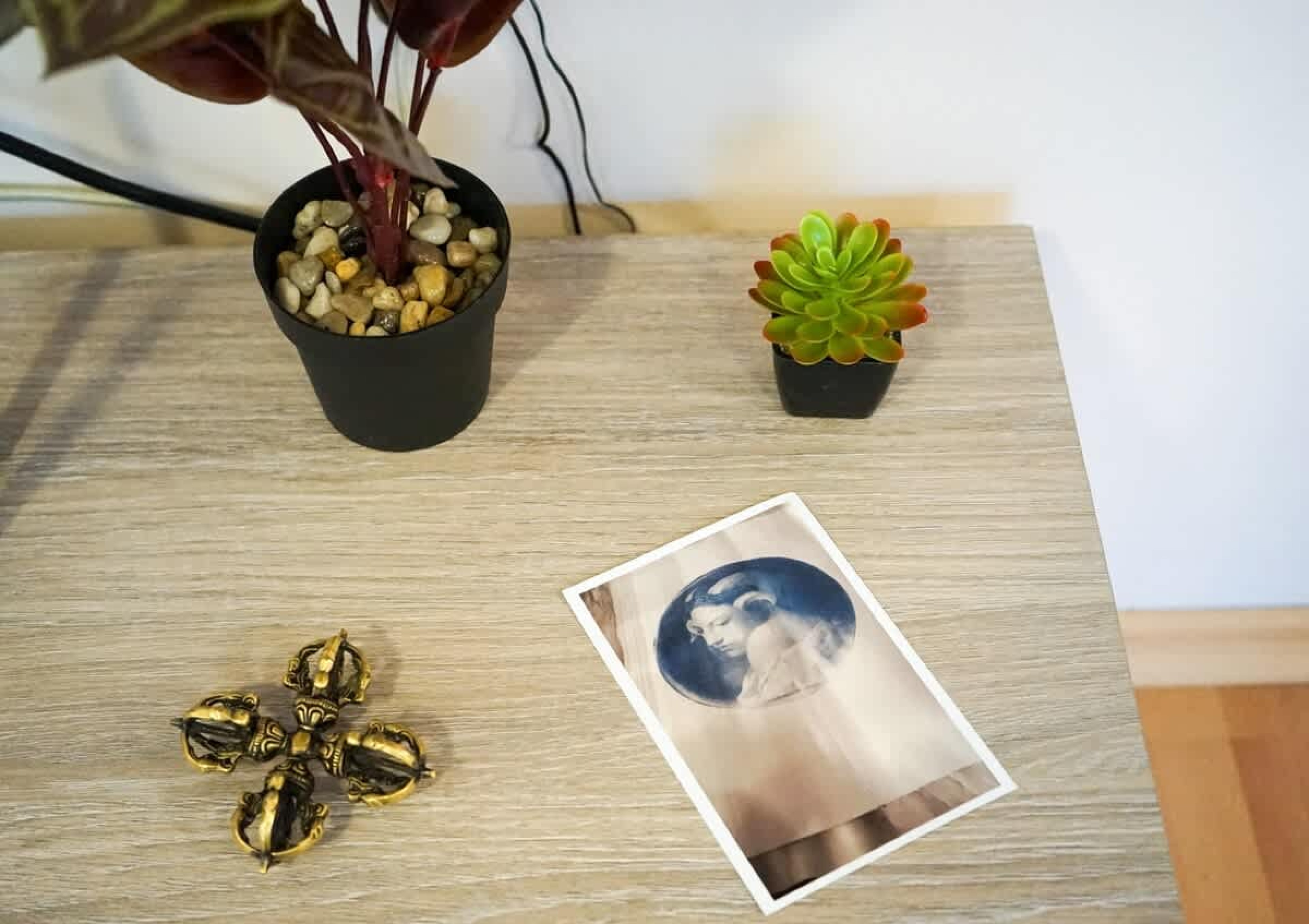 Scoutaround White Logo