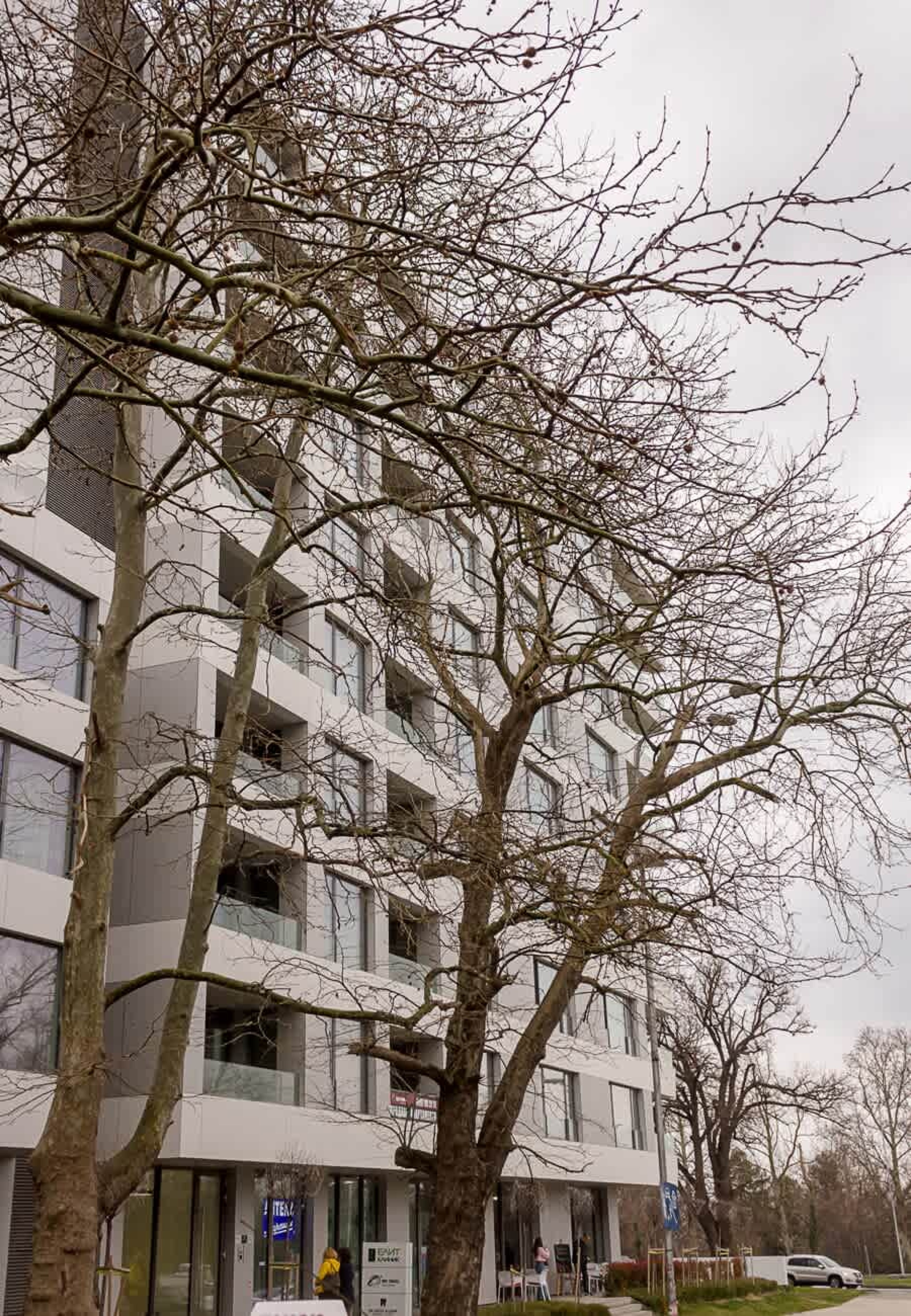 Scoutaround White Logo