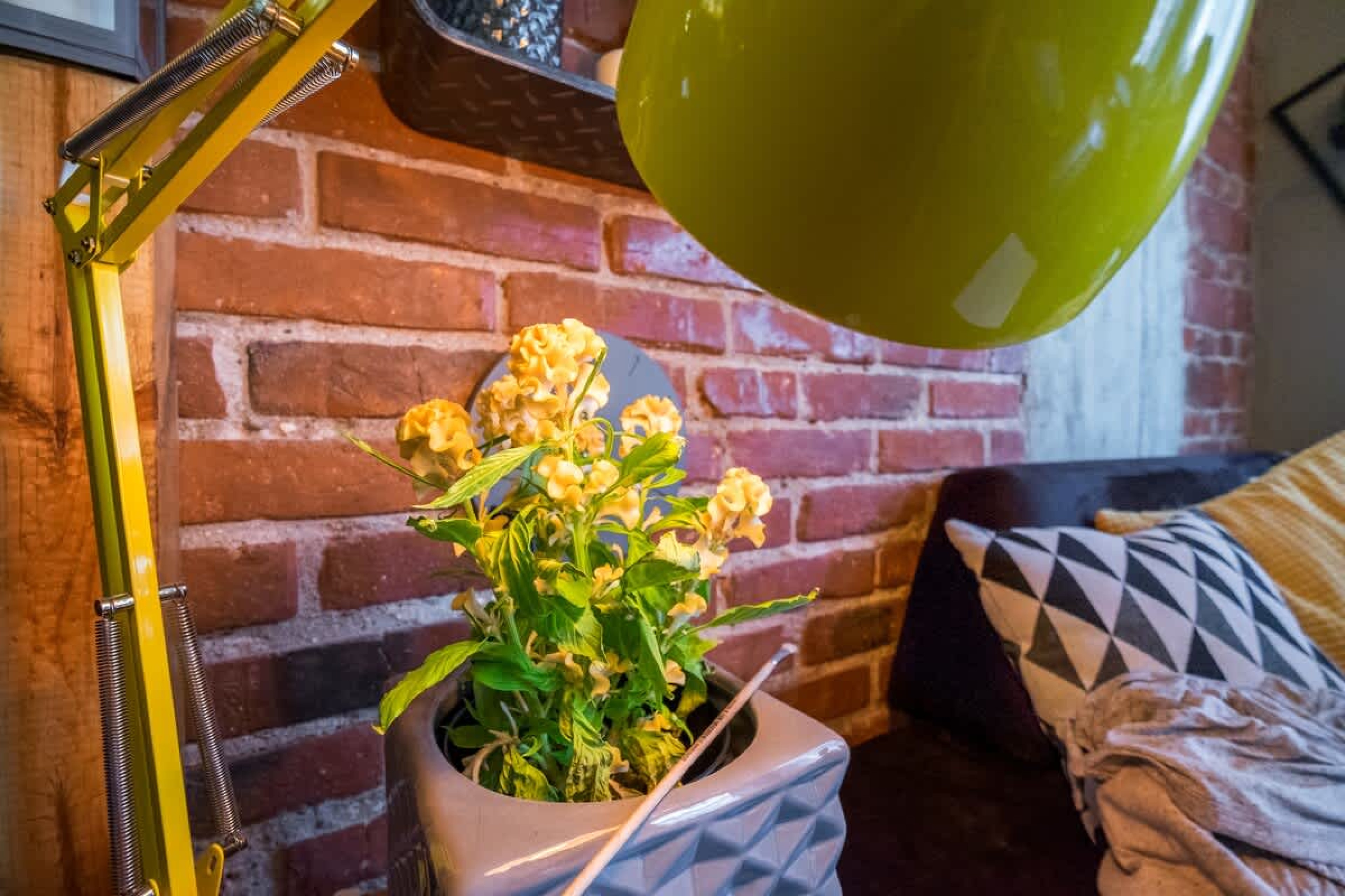 2 BDR &amp; 2 BTHR Funky Apartment / Supreme Location - Photo 35