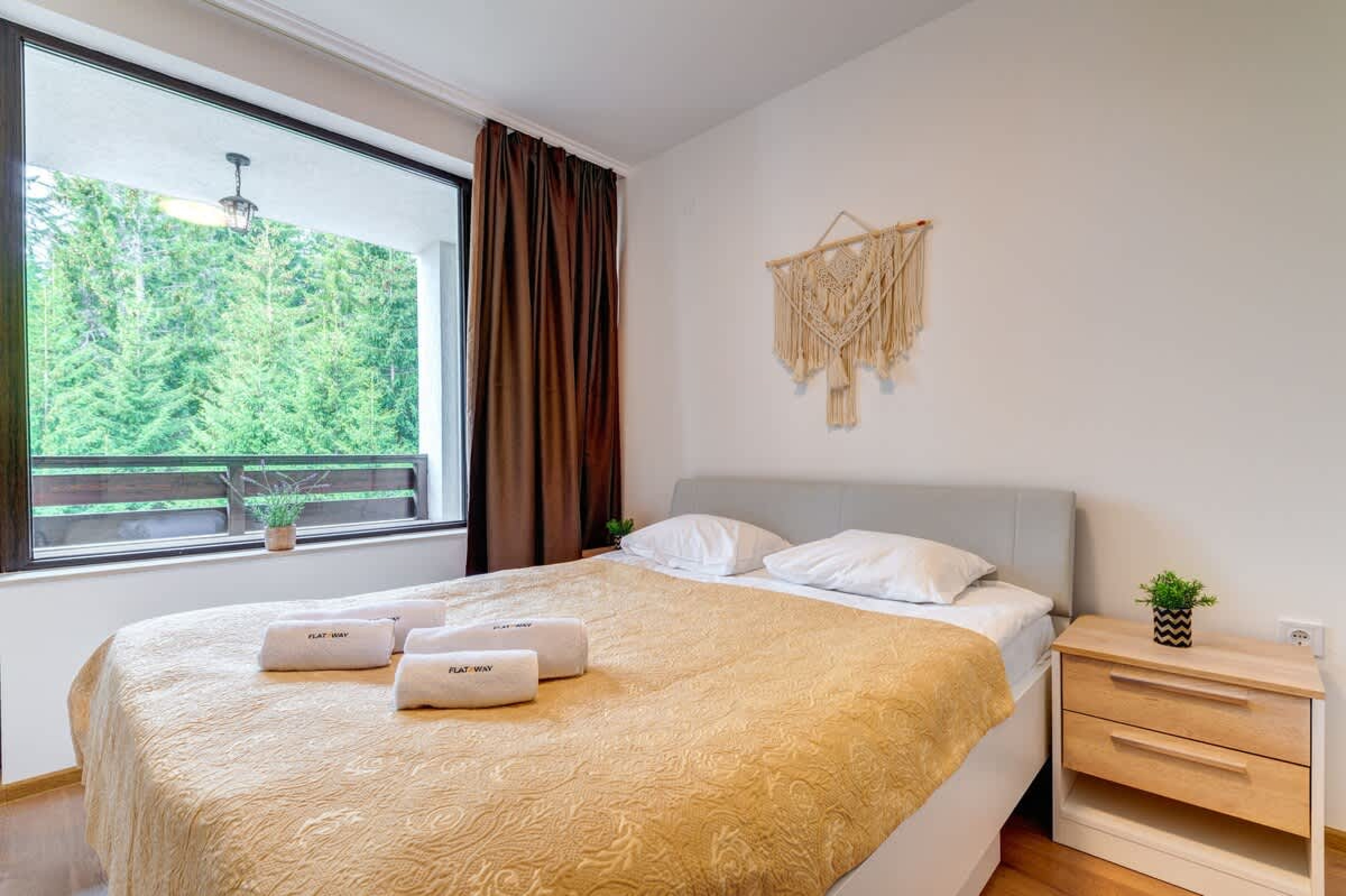 Scoutaround White Logo