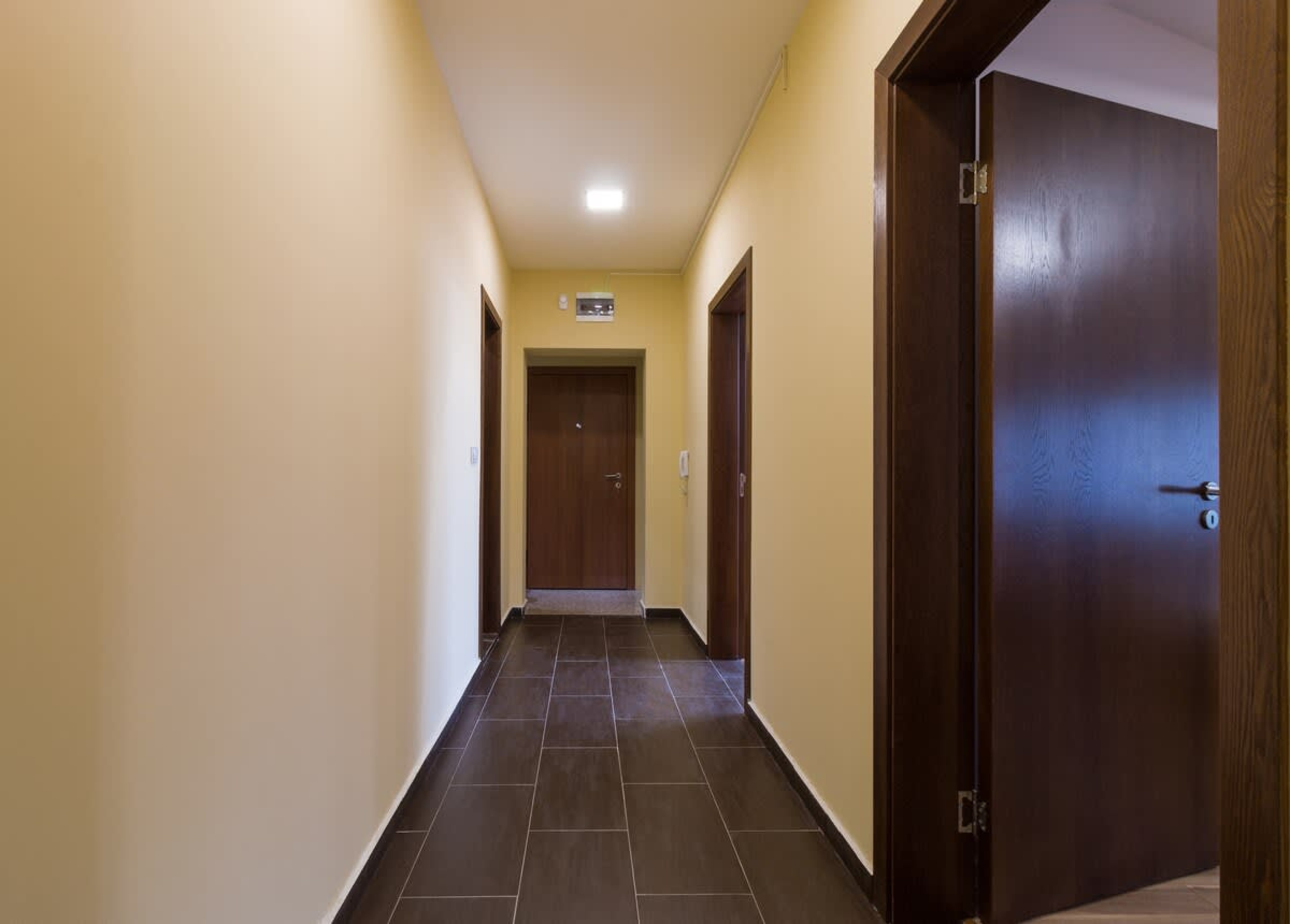 Scoutaround White Logo