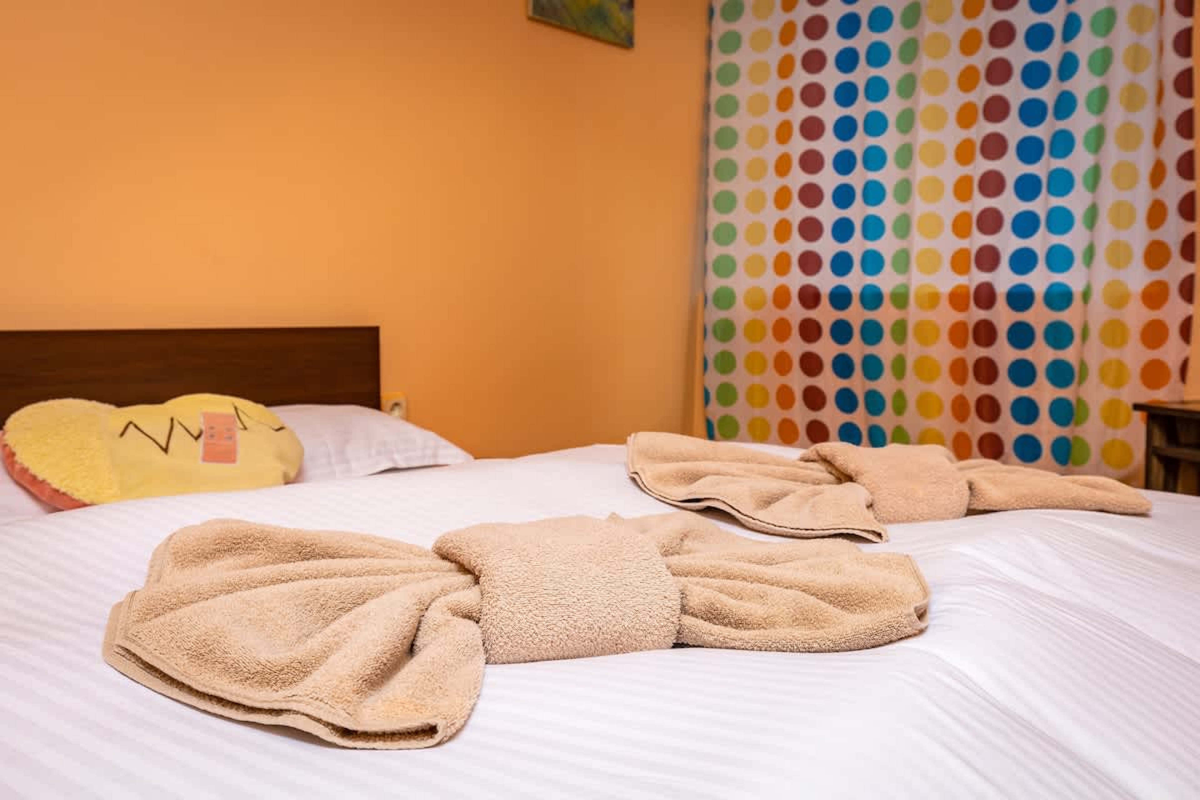 Scoutaround White Logo