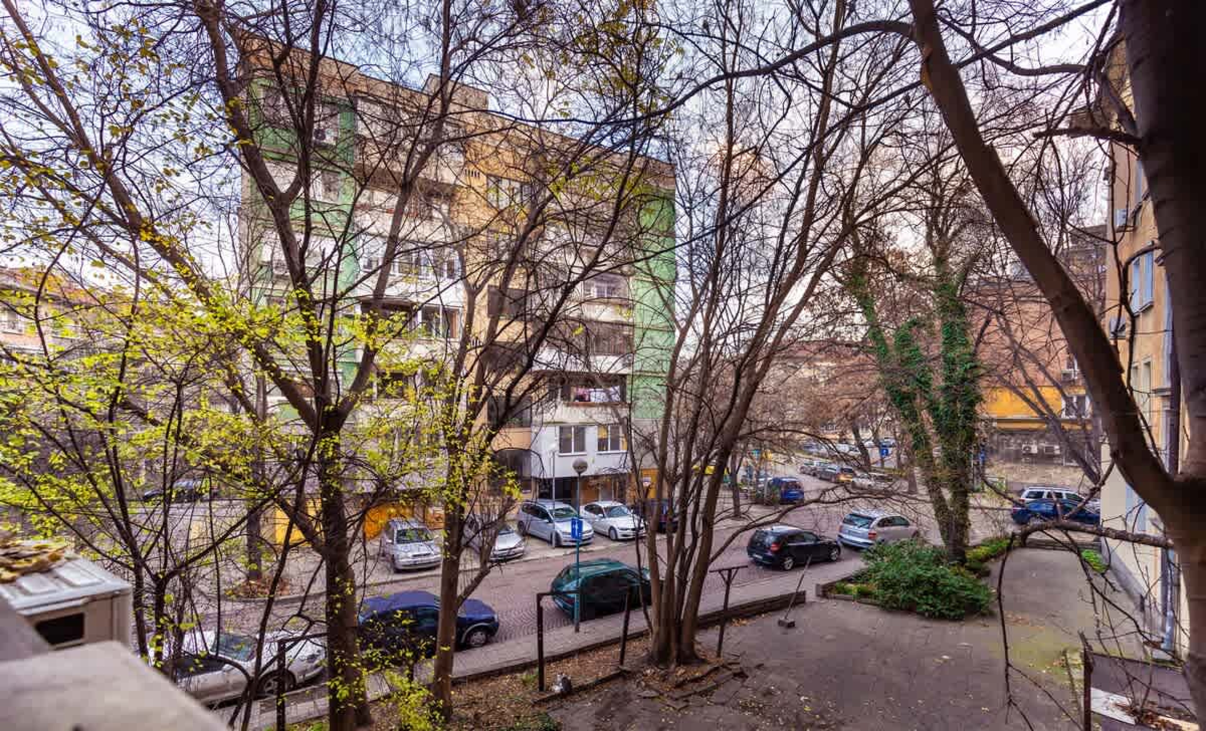 Scoutaround White Logo