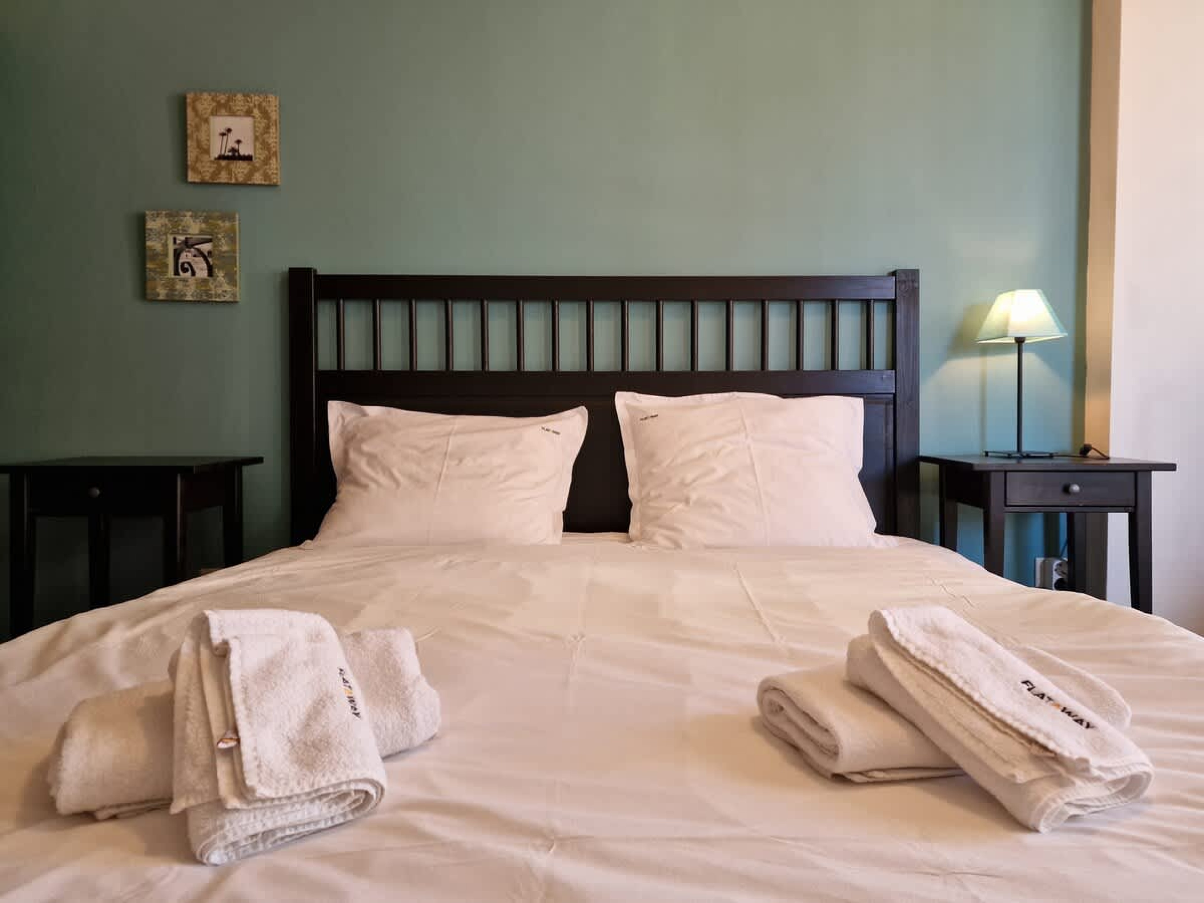 Scoutaround White Logo