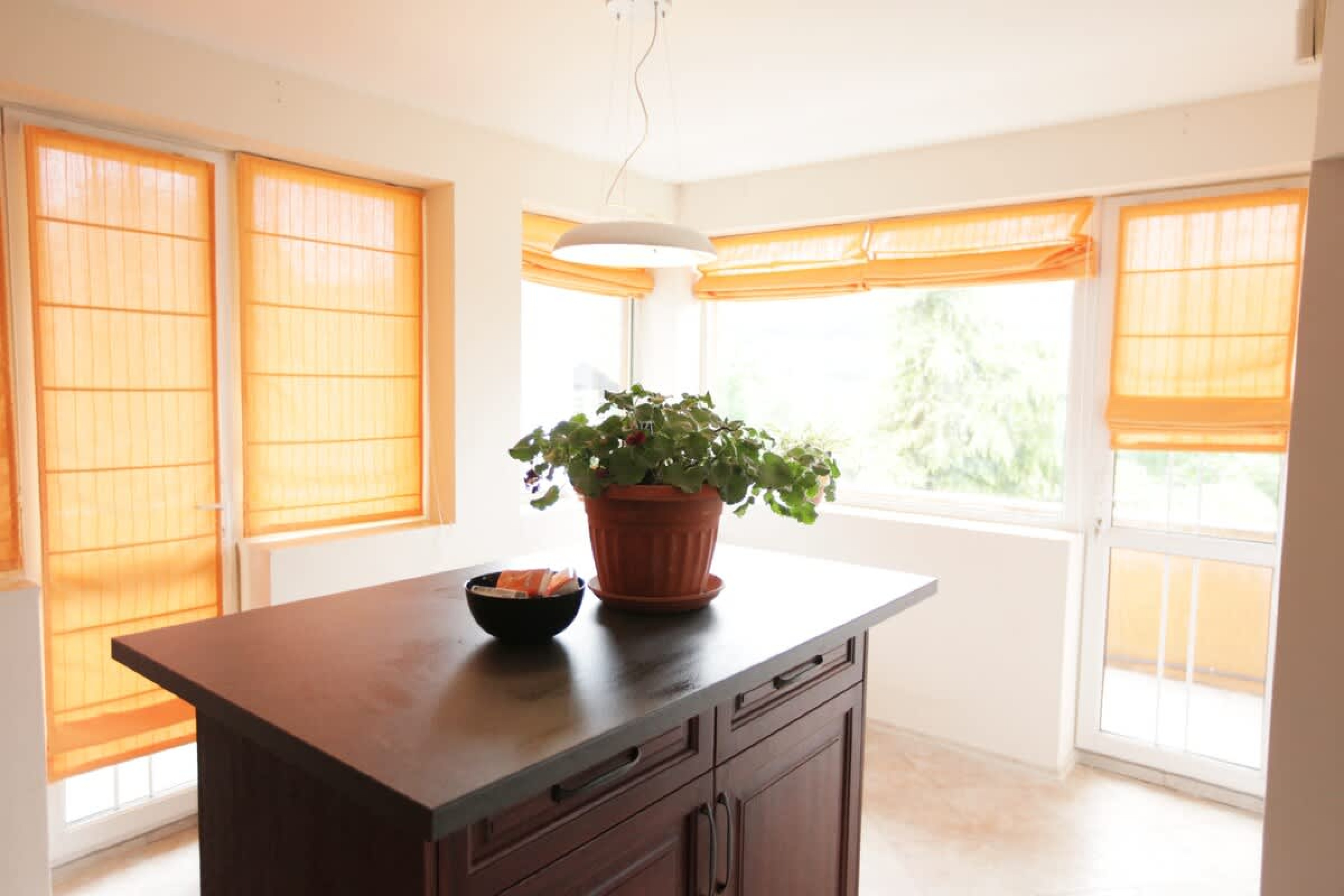 Scoutaround White Logo