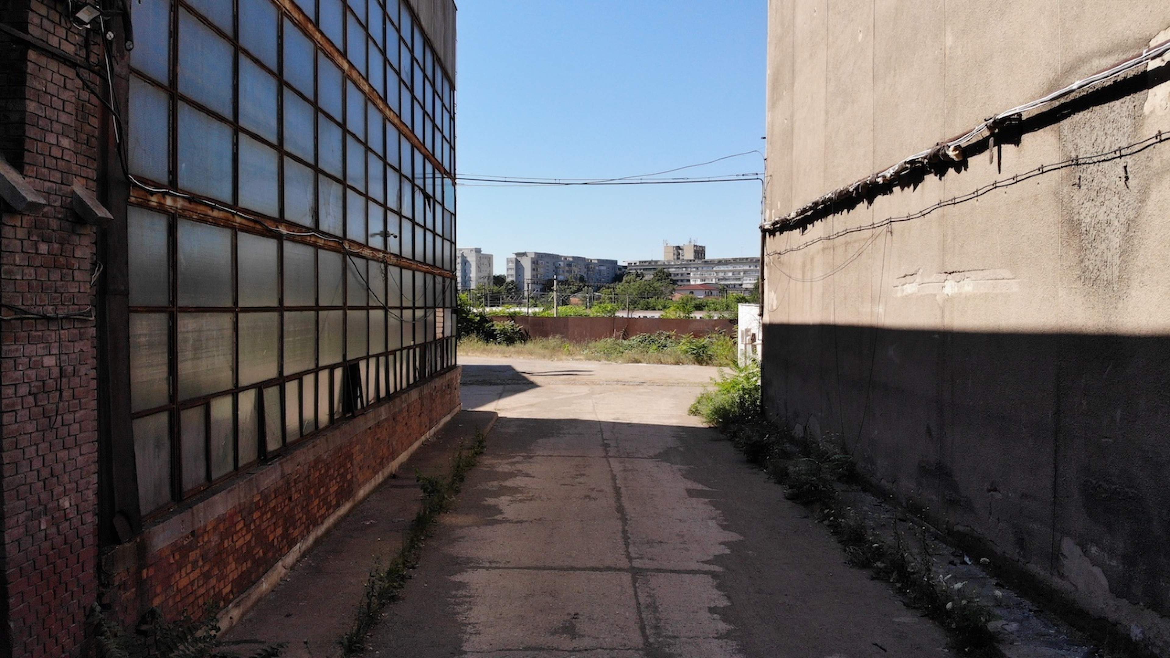 Scoutaround White Logo