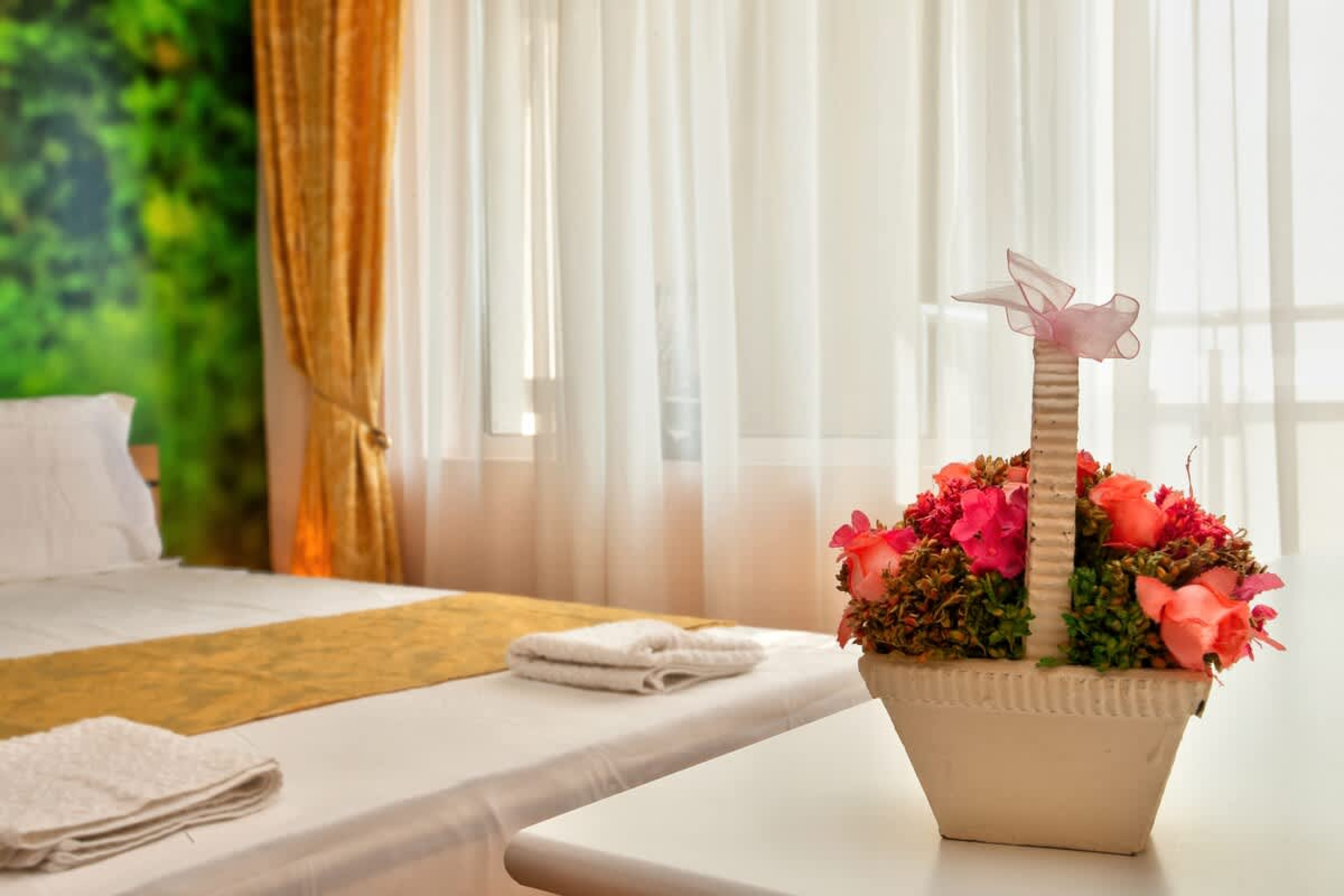 Scoutaround White Logo