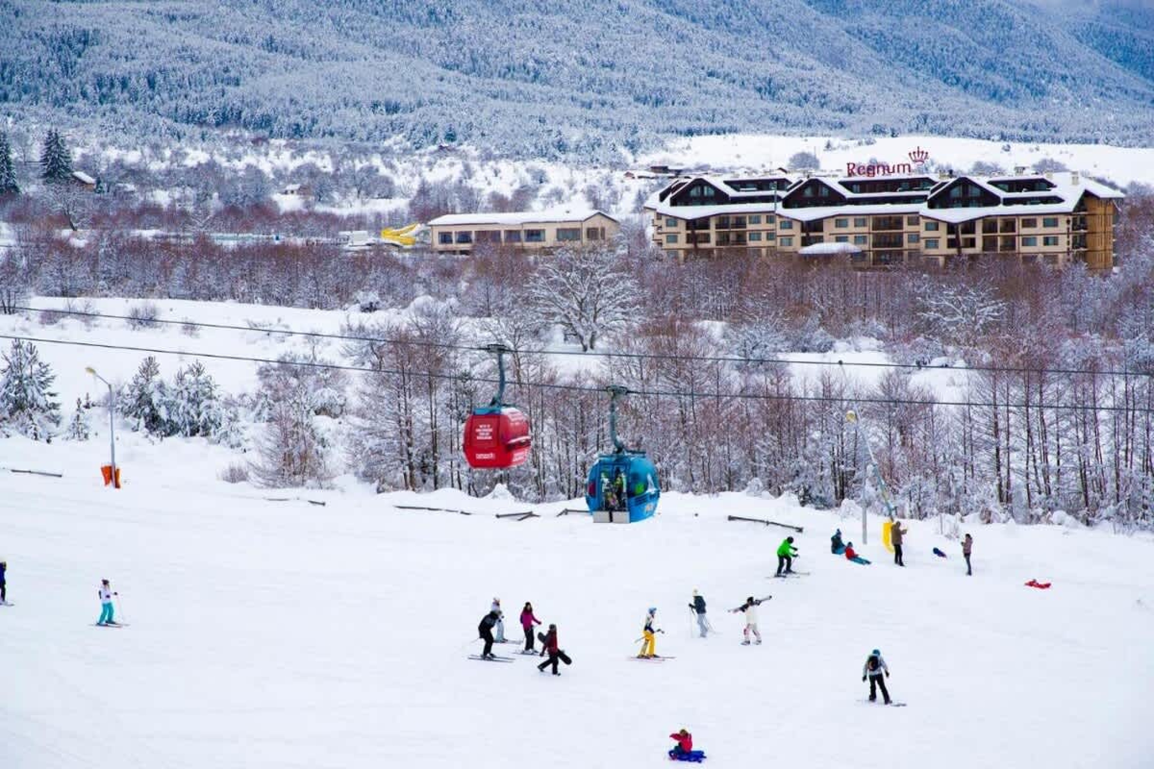 Scoutaround White Logo