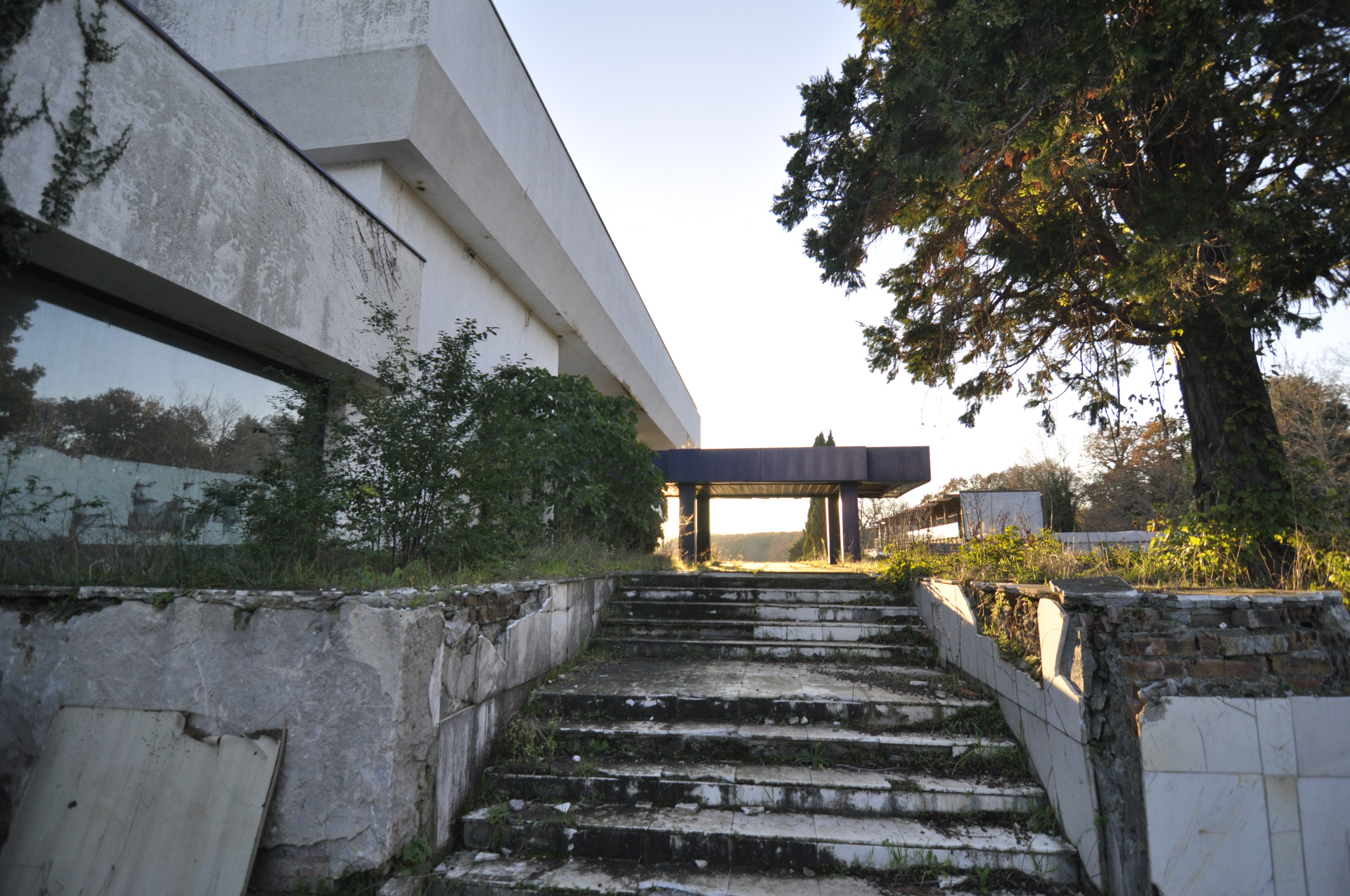 Scoutaround White Logo