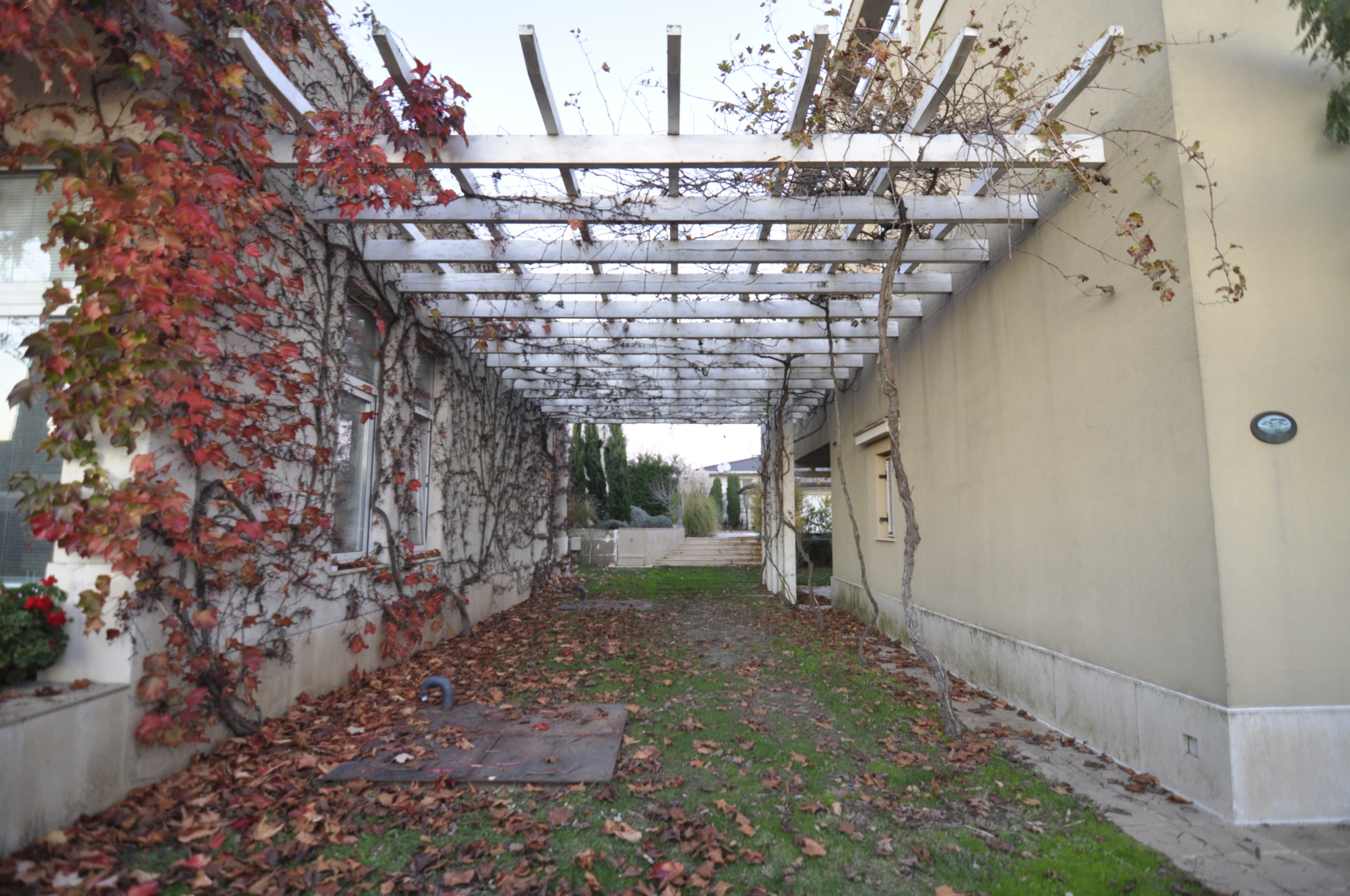 Scoutaround White Logo