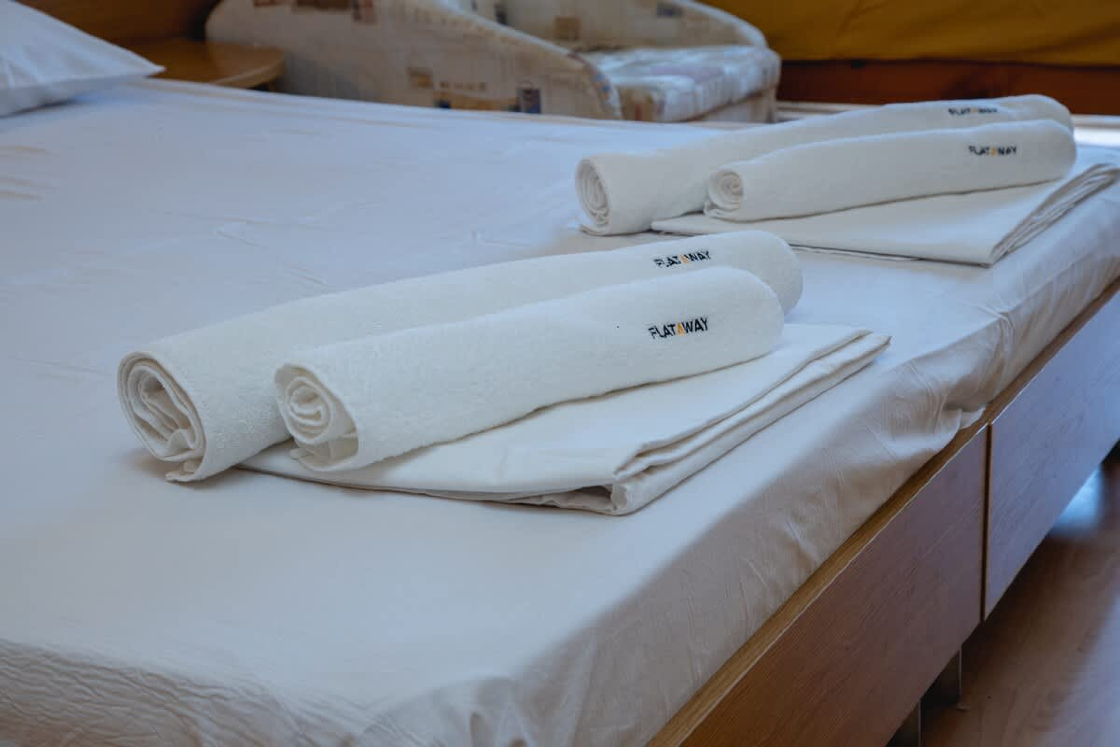 Scoutaround White Logo